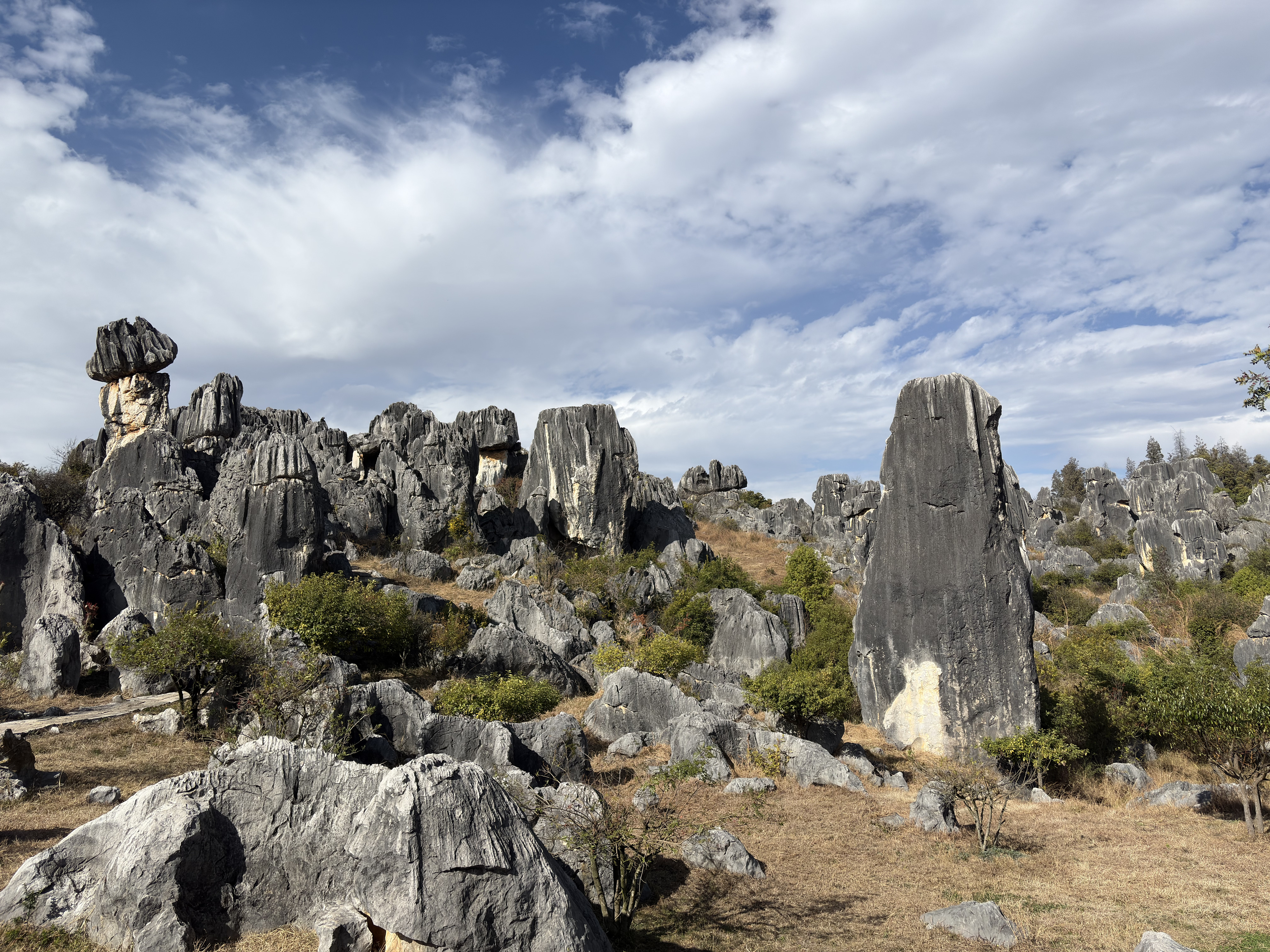 Picture China Shilin Stone Forest 2026-01 113 - Discovery Shilin Stone Forest