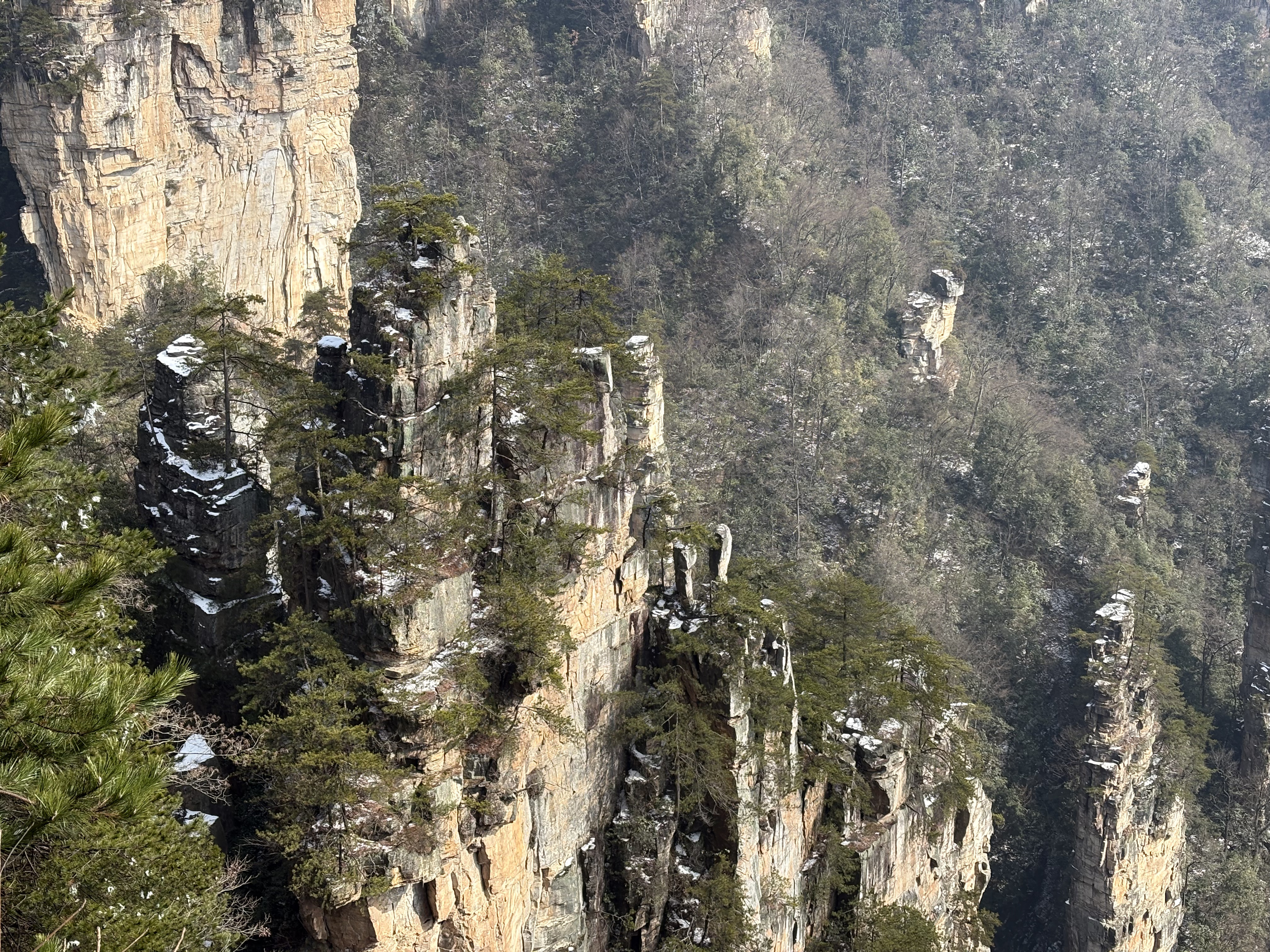 Picture China Zhangjiajie Tianzi Mountrain 2026-01 433 - Recreation Tianzi Mountrain