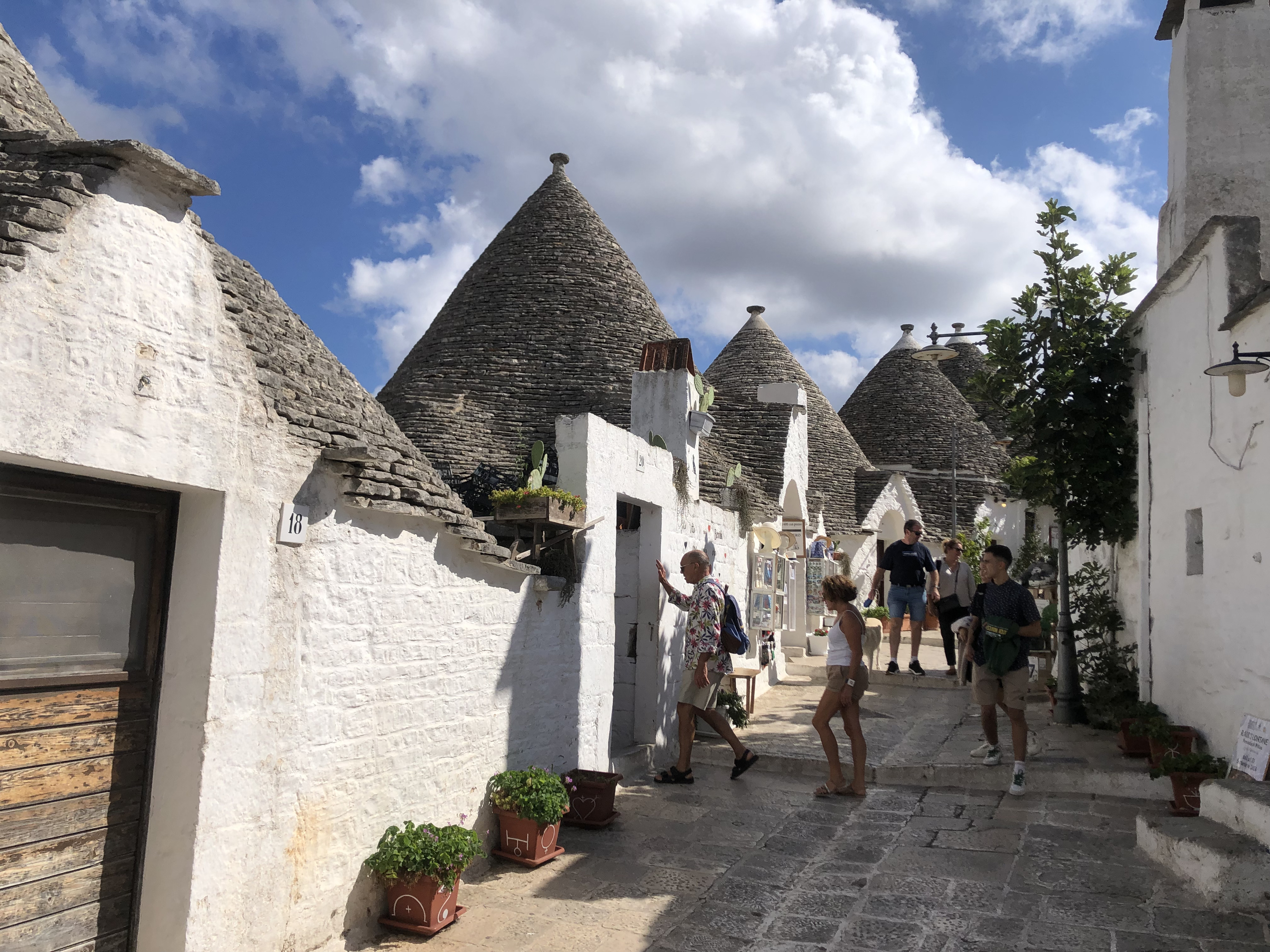 Picture Italy Alberobello 2024-09 34 - Tours Alberobello