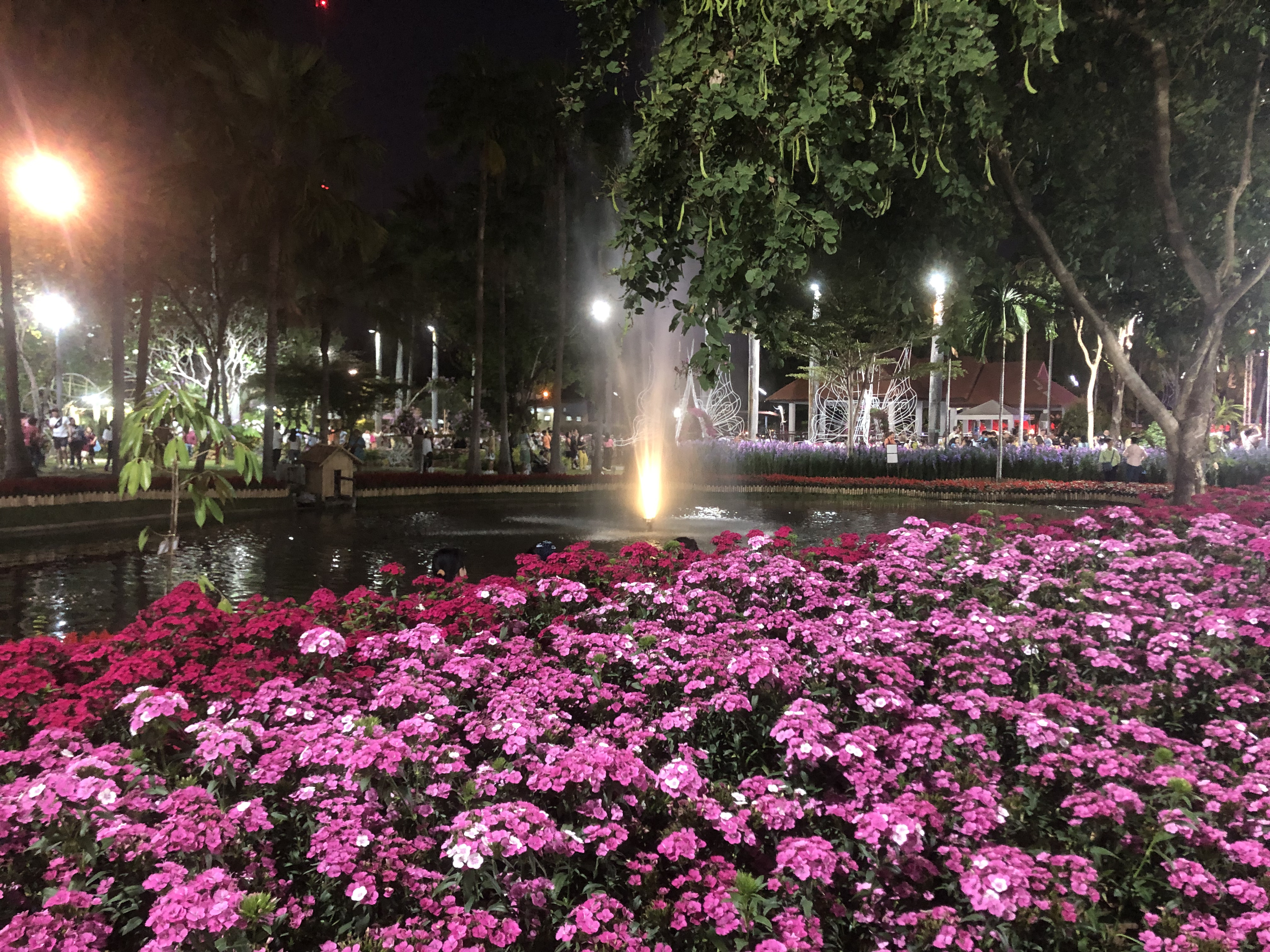 Picture Thailand Chiang Mai Nong Buak Haad Public Park 2024-01 63 - Recreation Nong Buak Haad Public Park