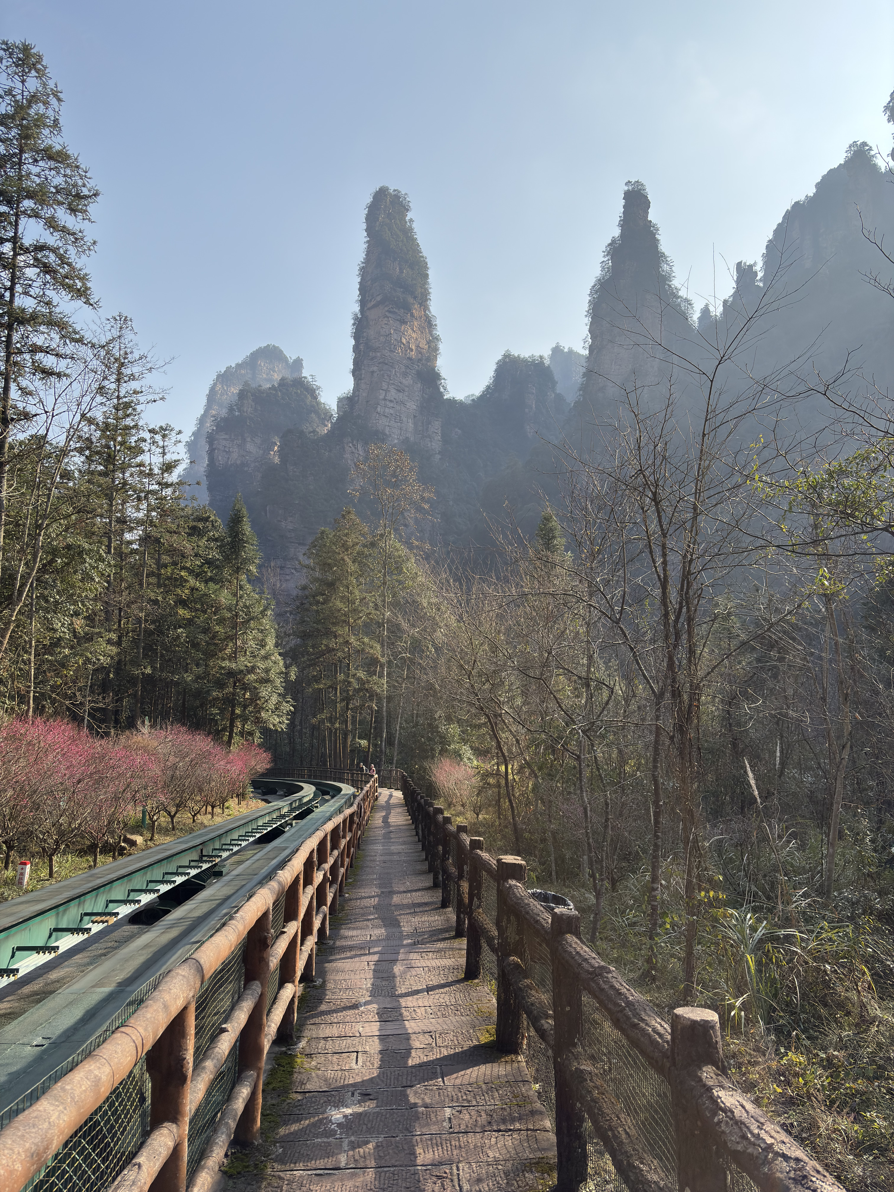Picture China Zhangjiajie Tianzi Mountrain 2026-01 279 - Tour Tianzi Mountrain