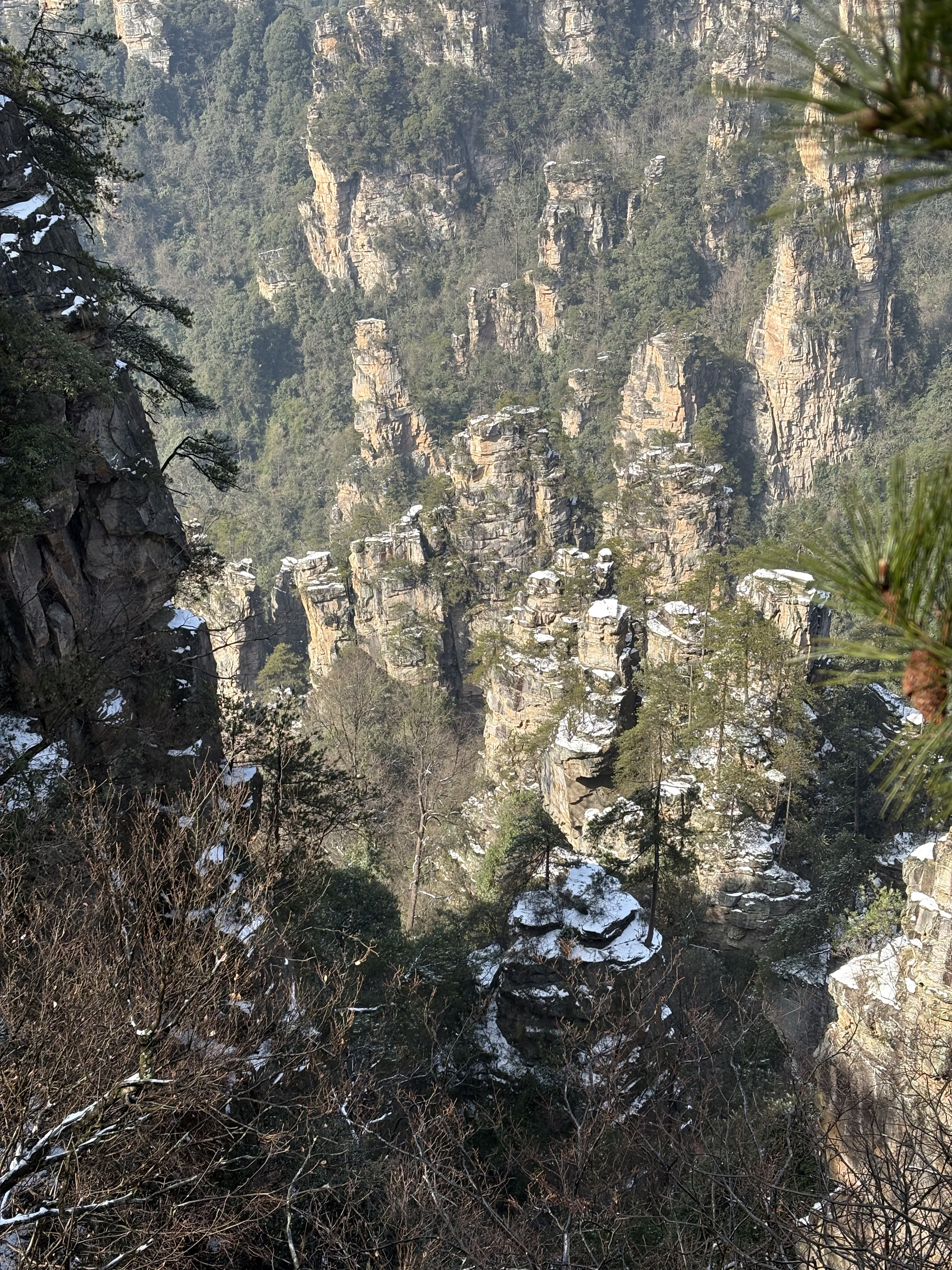 Picture China Zhangjiajie Tianzi Mountrain 2026-01 21 - Discovery Tianzi Mountrain