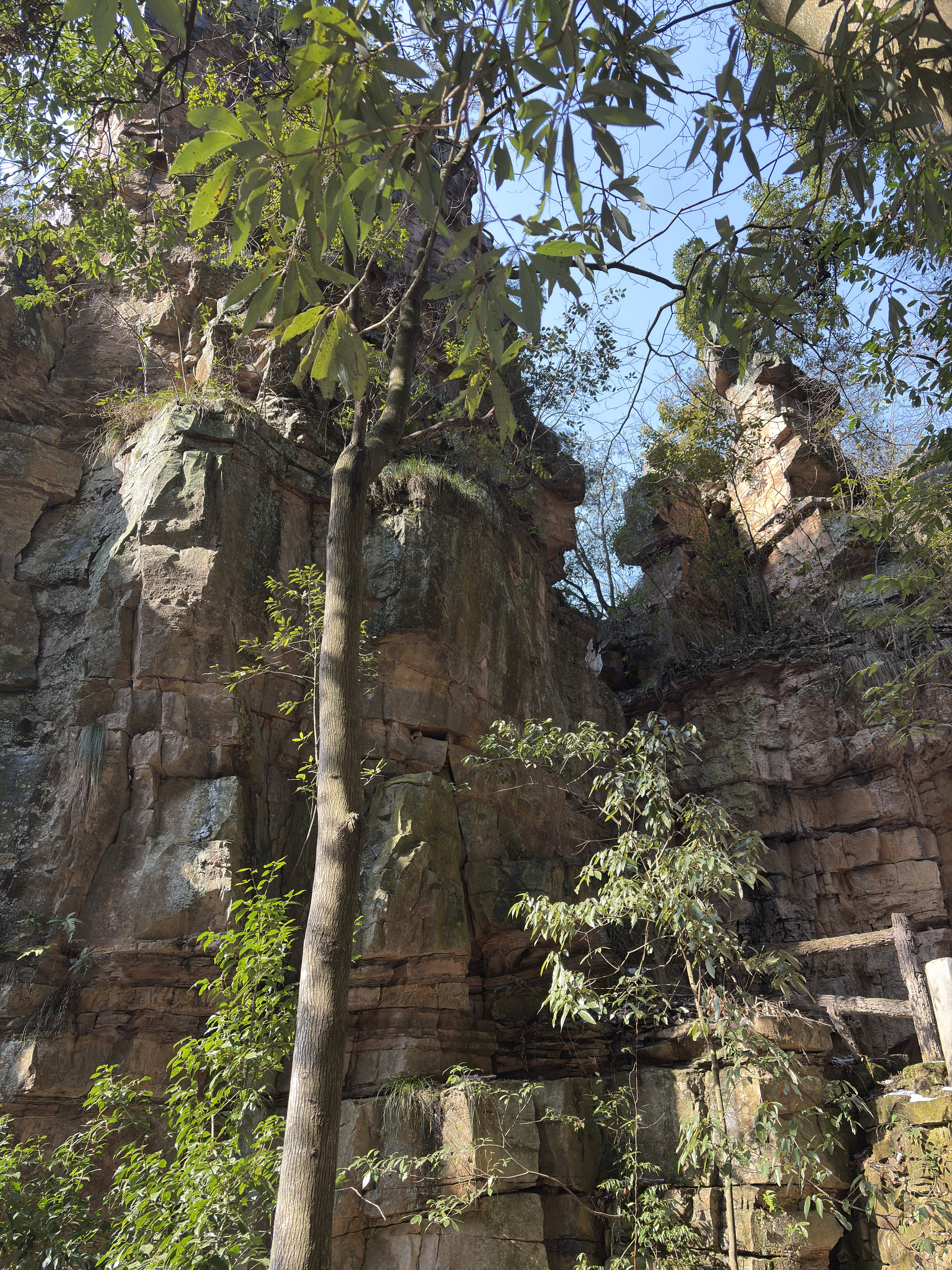 Picture China Zhangjiajie Tianzi Mountrain 2026-01 241 - Discovery Tianzi Mountrain