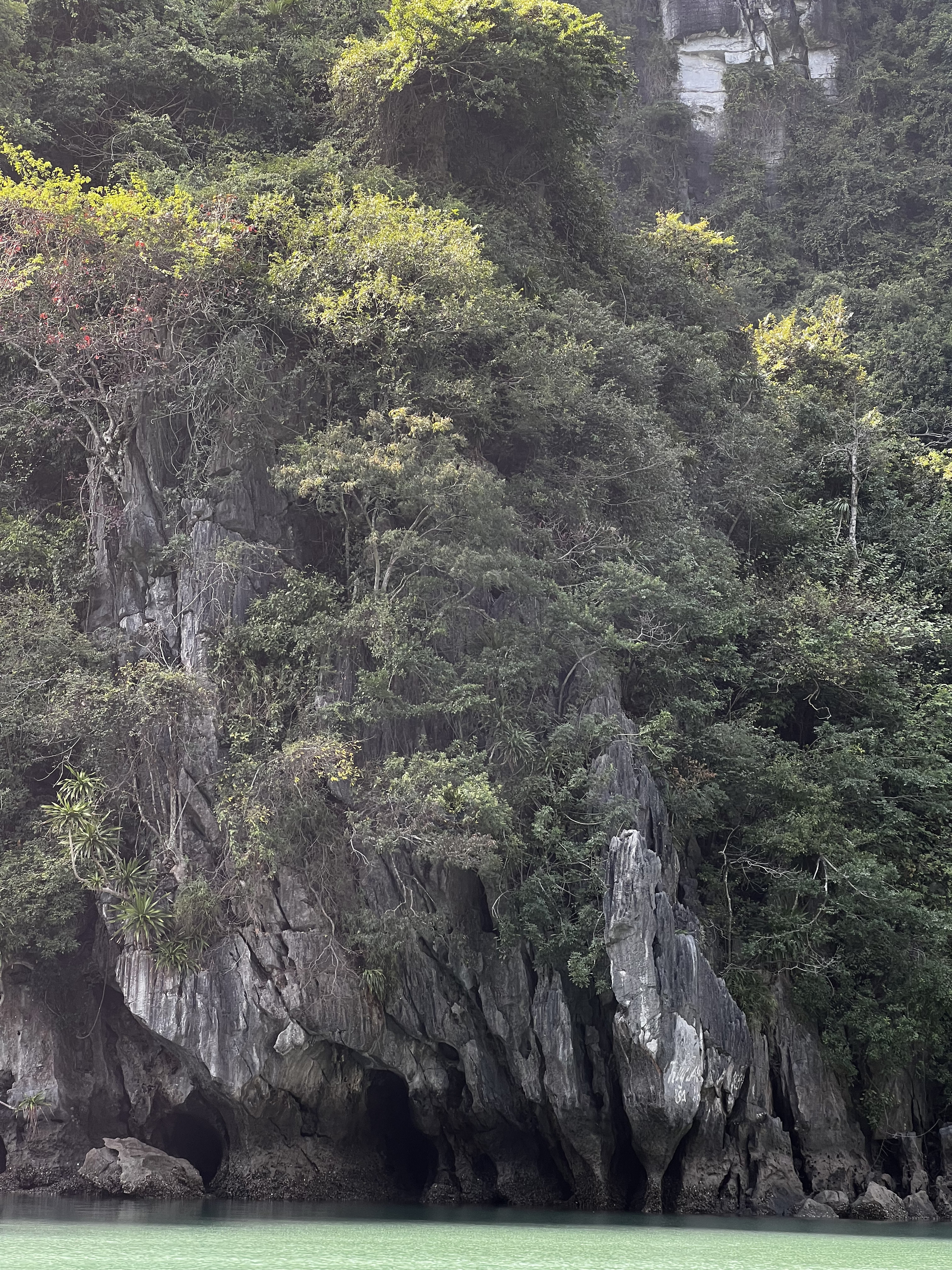 Picture Vietnam Ha Long Bay 2024-01 48 - Tours Ha Long Bay