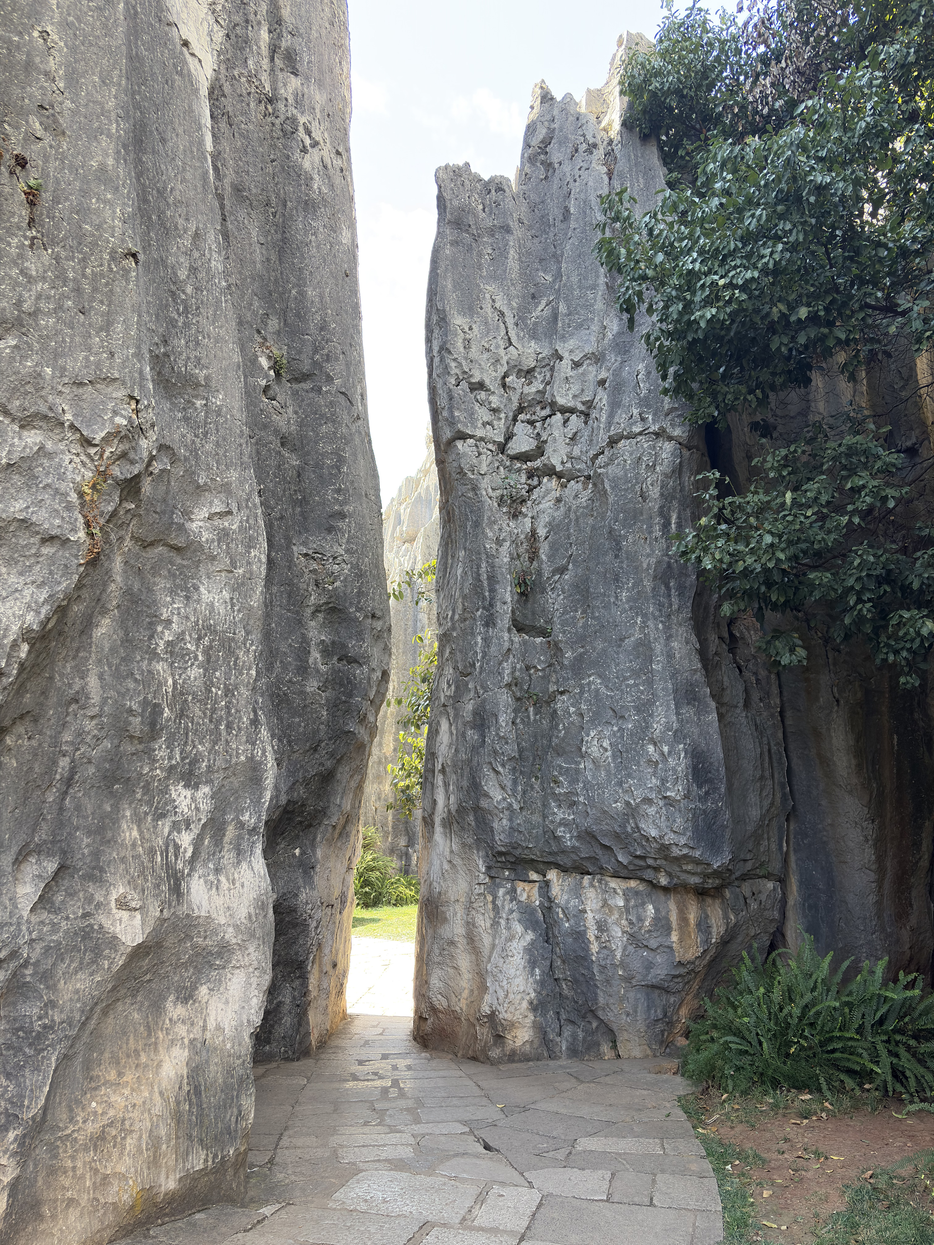 Picture China Shilin Stone Forest 2026-01 159 - Journey Shilin Stone Forest