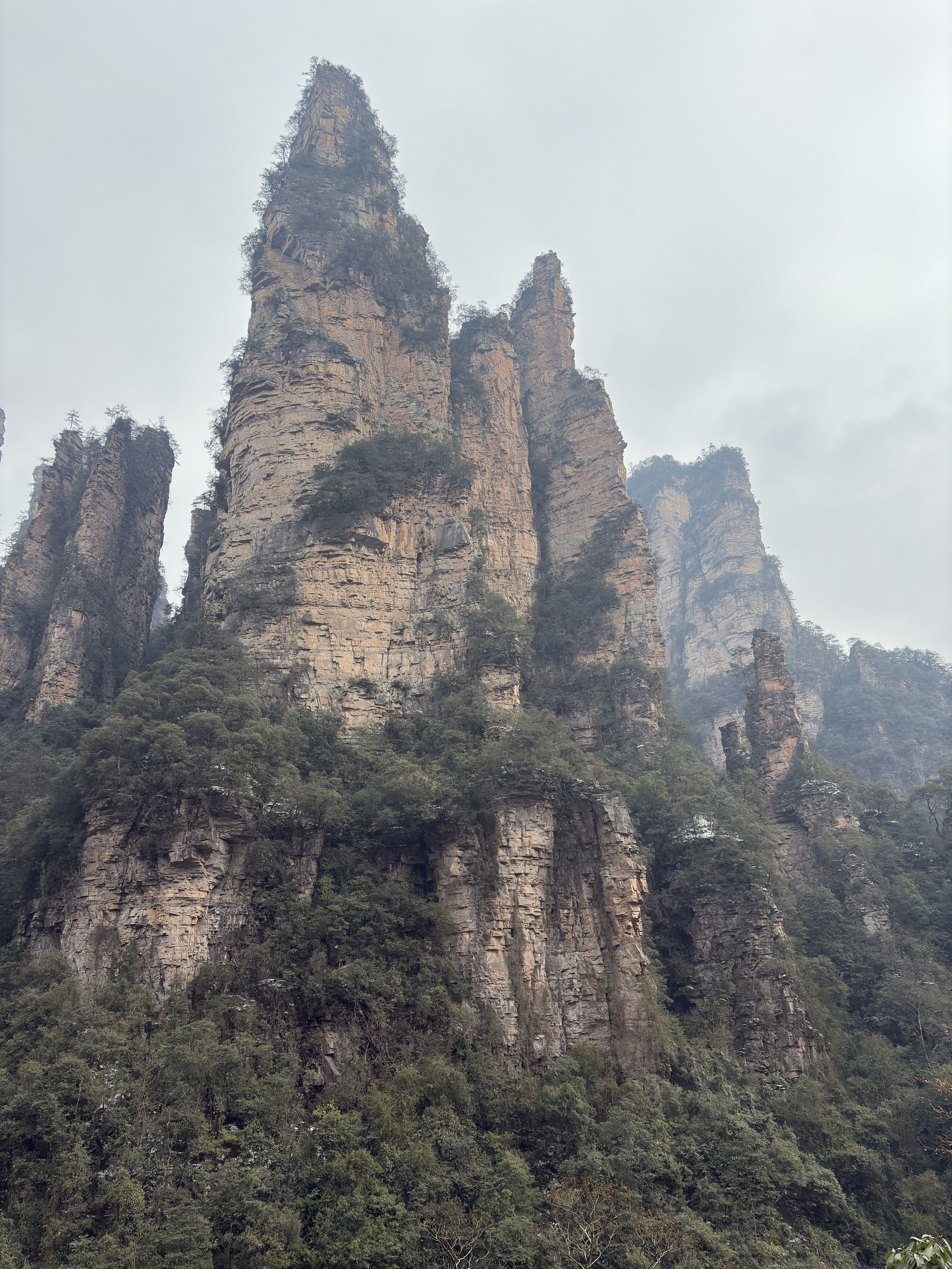 Picture China Zhangjiajie 2026-01 144 - Center Zhangjiajie