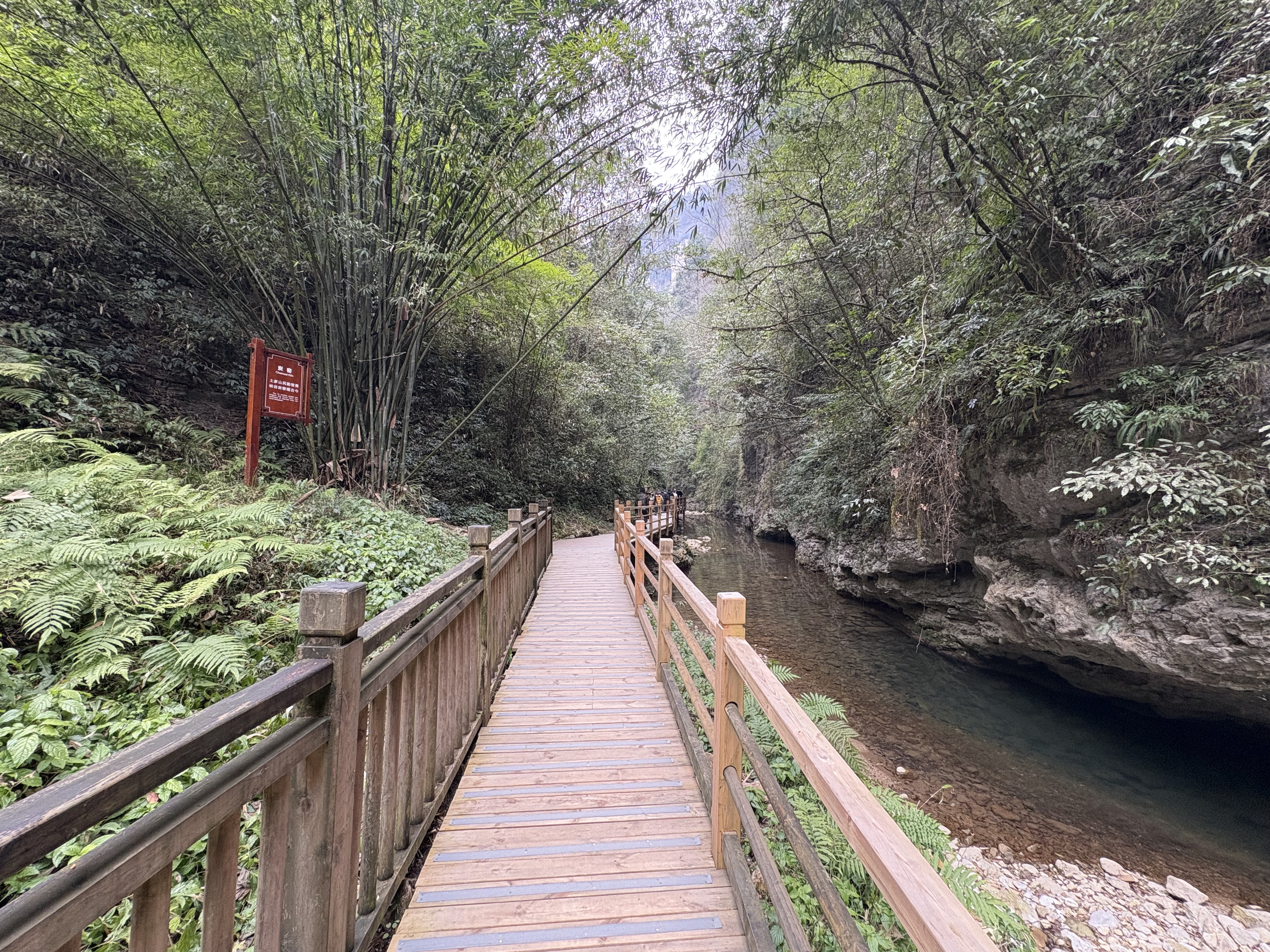 Picture China Zhangjiajie Grand Canion 2026-01 19 - Center Grand Canion