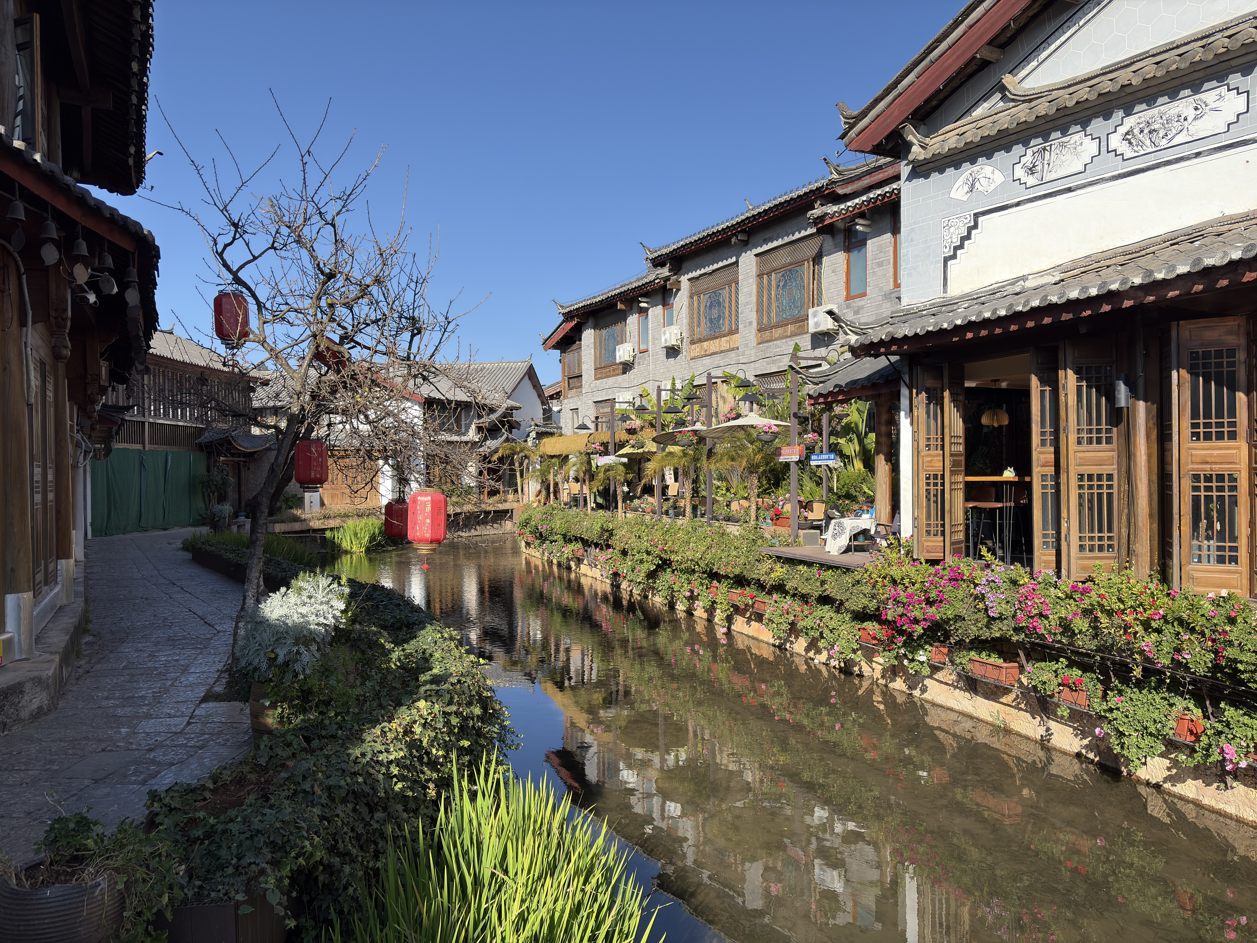 Picture China Lijiang 2026-01 553 - Journey Lijiang