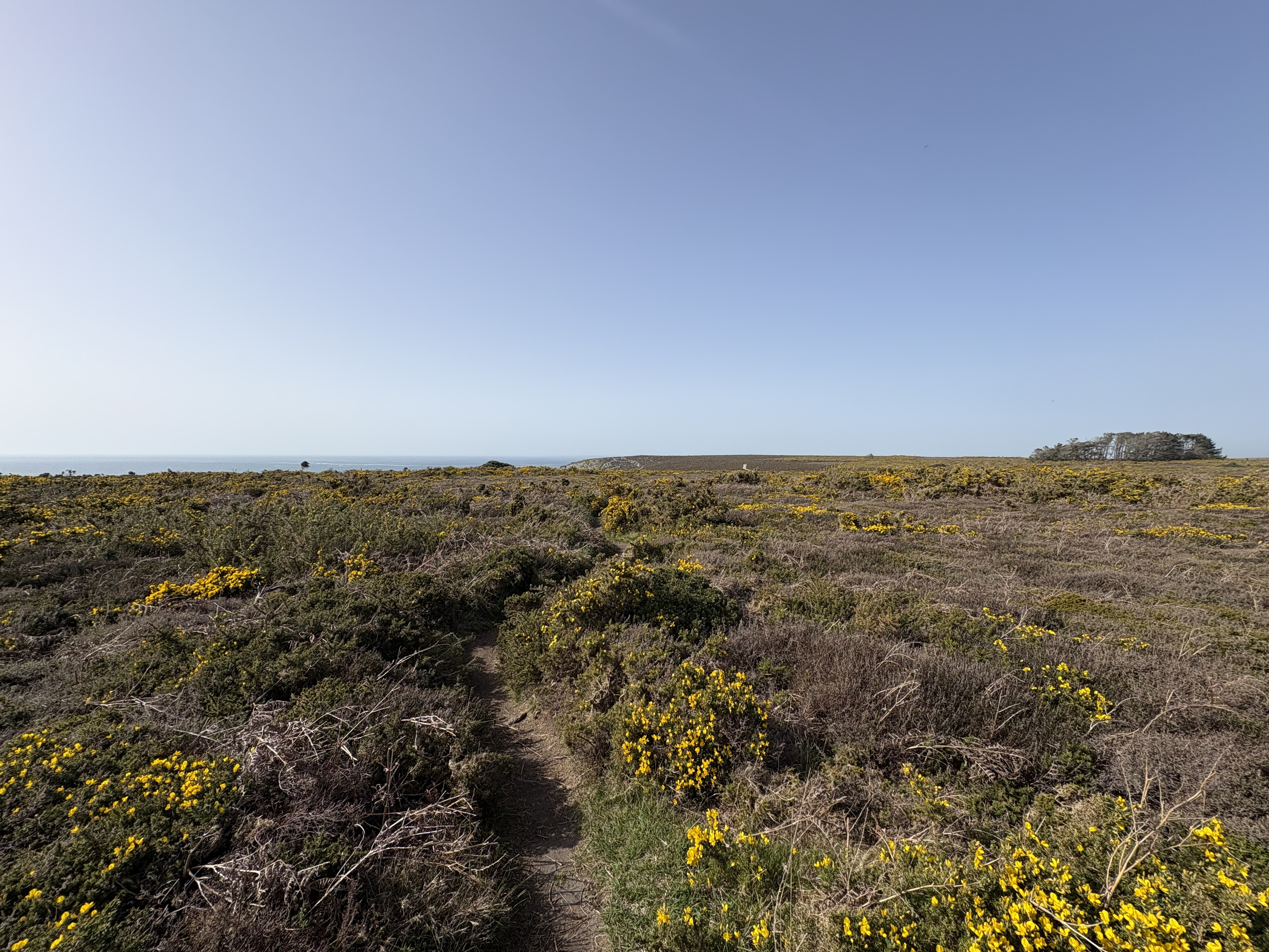 Picture France Crozon Cap de la Chevre 2026-04 14 - Tours Cap de la Chevre