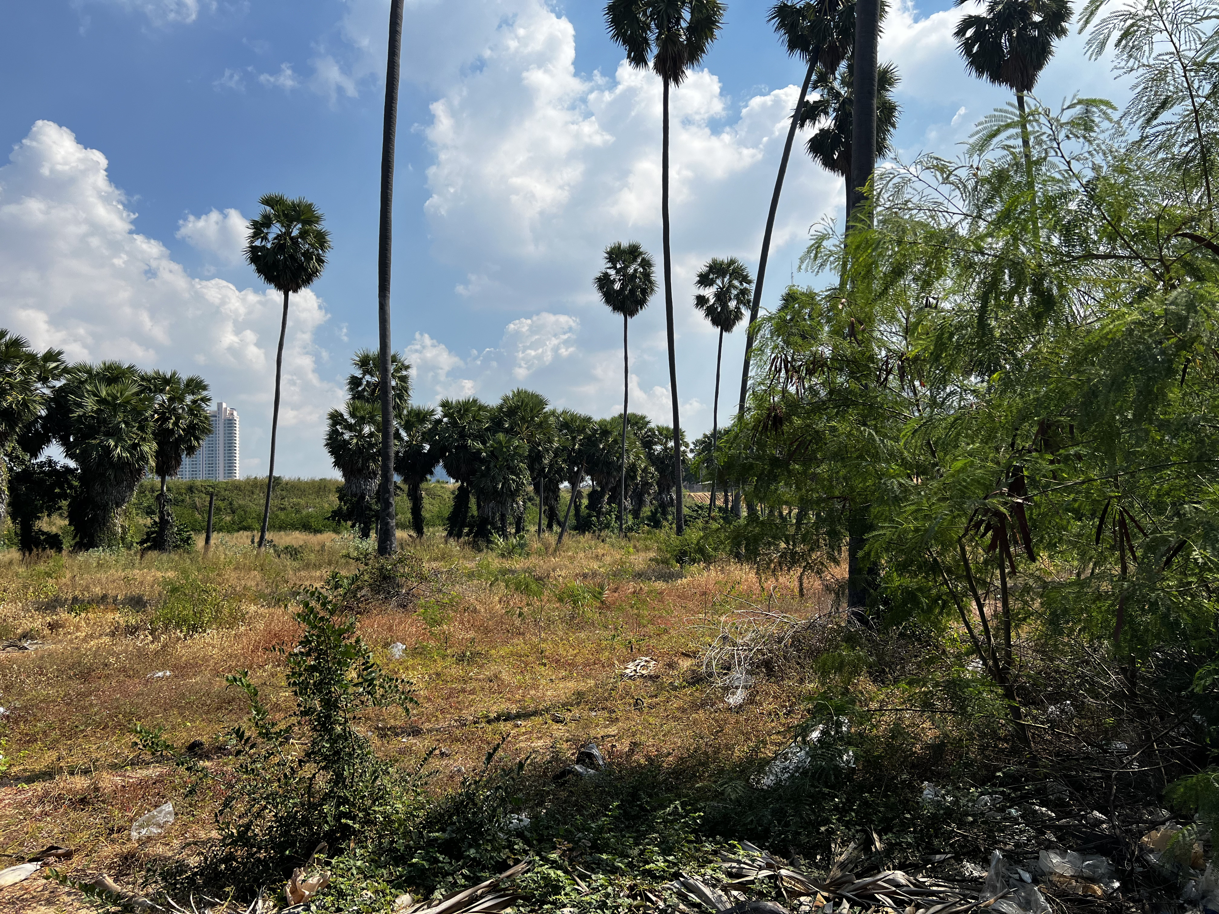 Picture Thailand Pattaya 2023-12 14 - History Pattaya