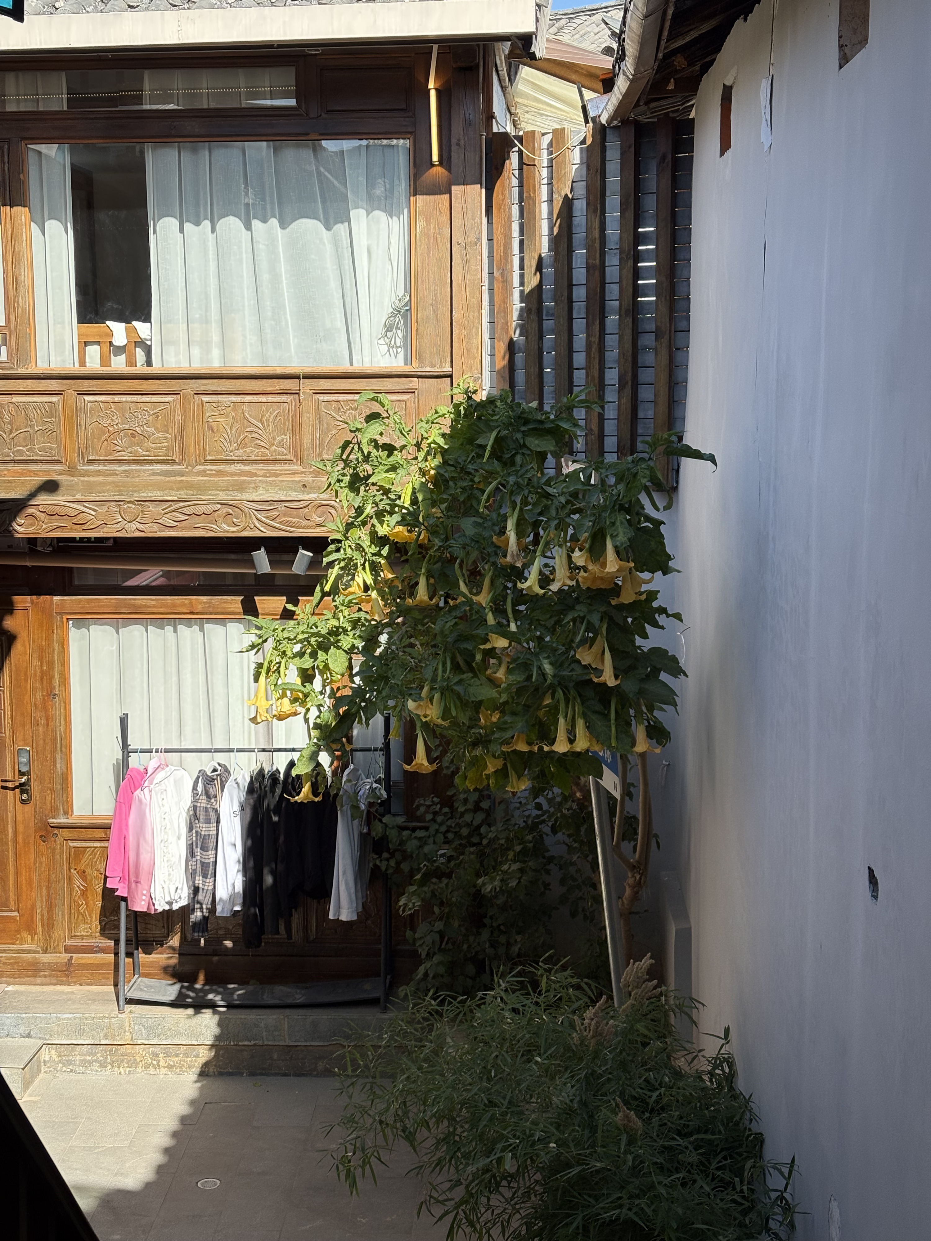 Picture China Lijiang 2026-01 251 - Tours Lijiang