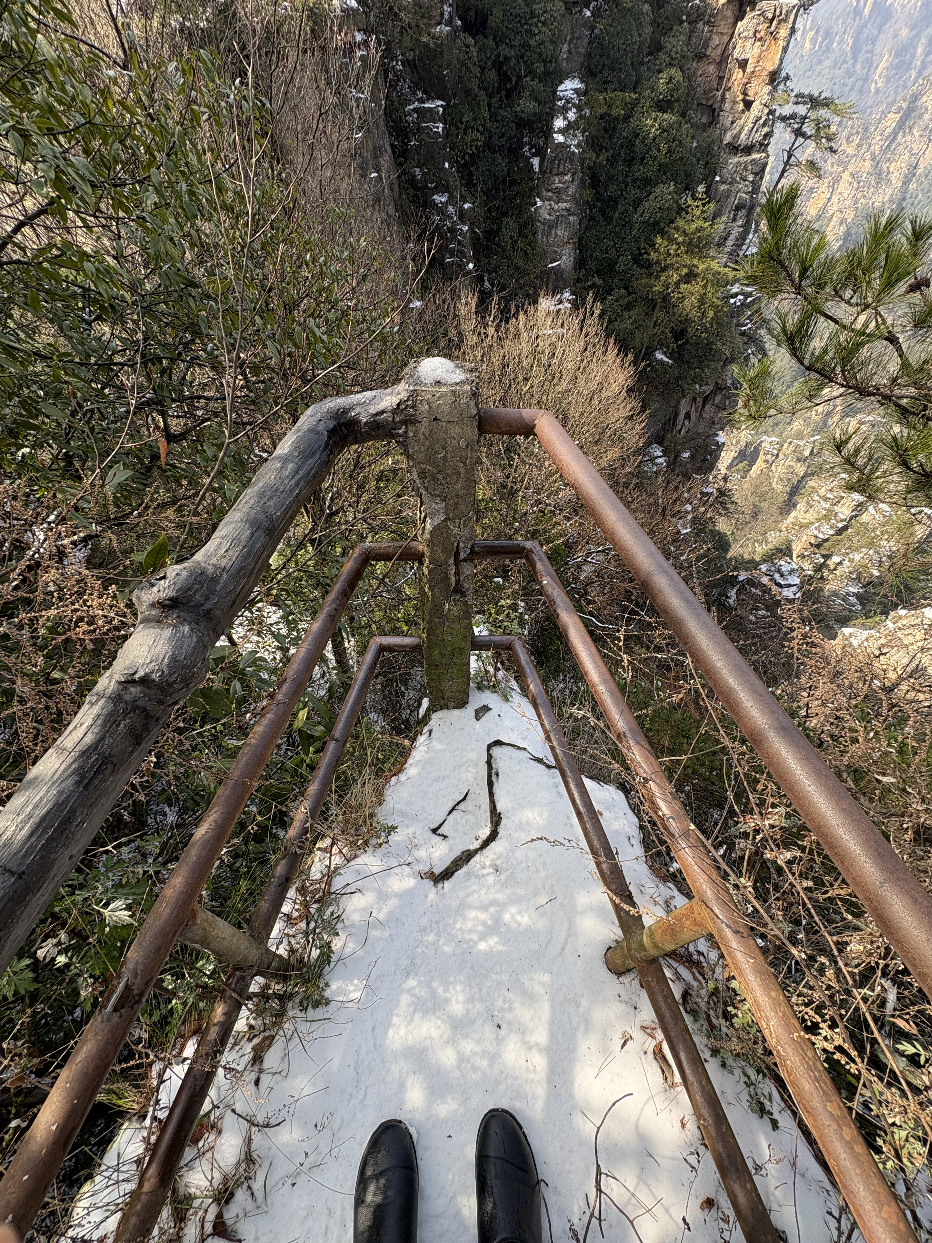 Picture China Zhangjiajie Tianzi Mountrain 2026-01 204 - Discovery Tianzi Mountrain