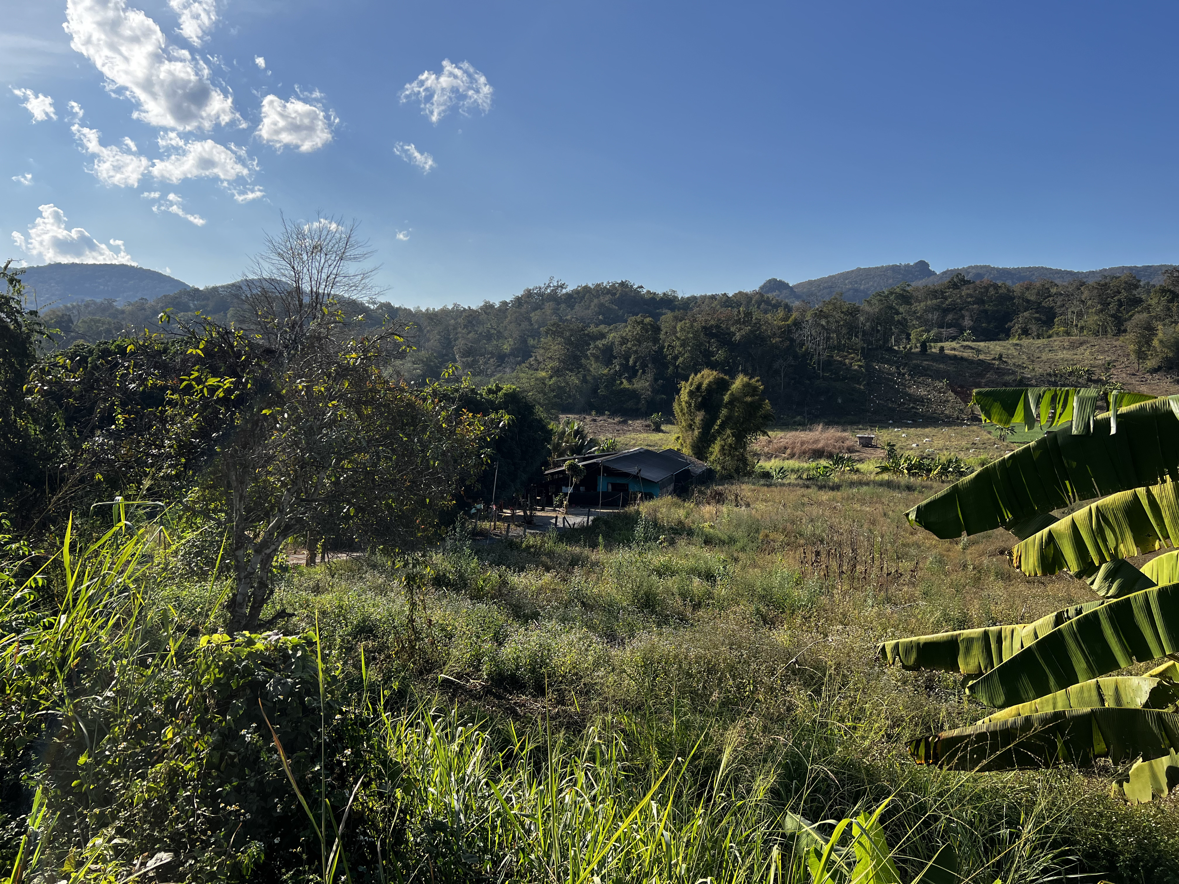 Picture Thailand Ban Wana Luang 2024-01 4 - Tour Ban Wana Luang