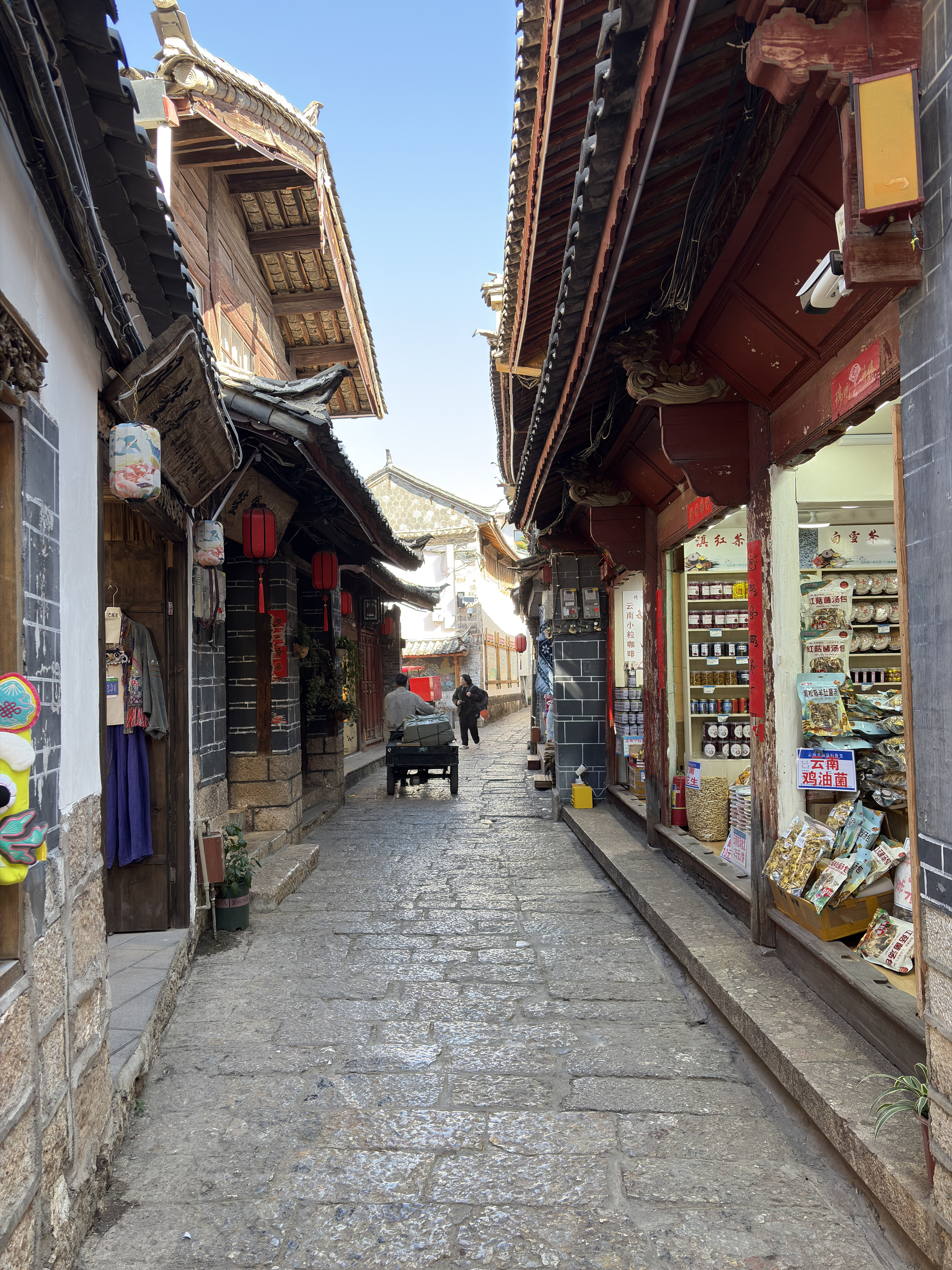 Picture China Lijiang 2026-01 763 - Tours Lijiang