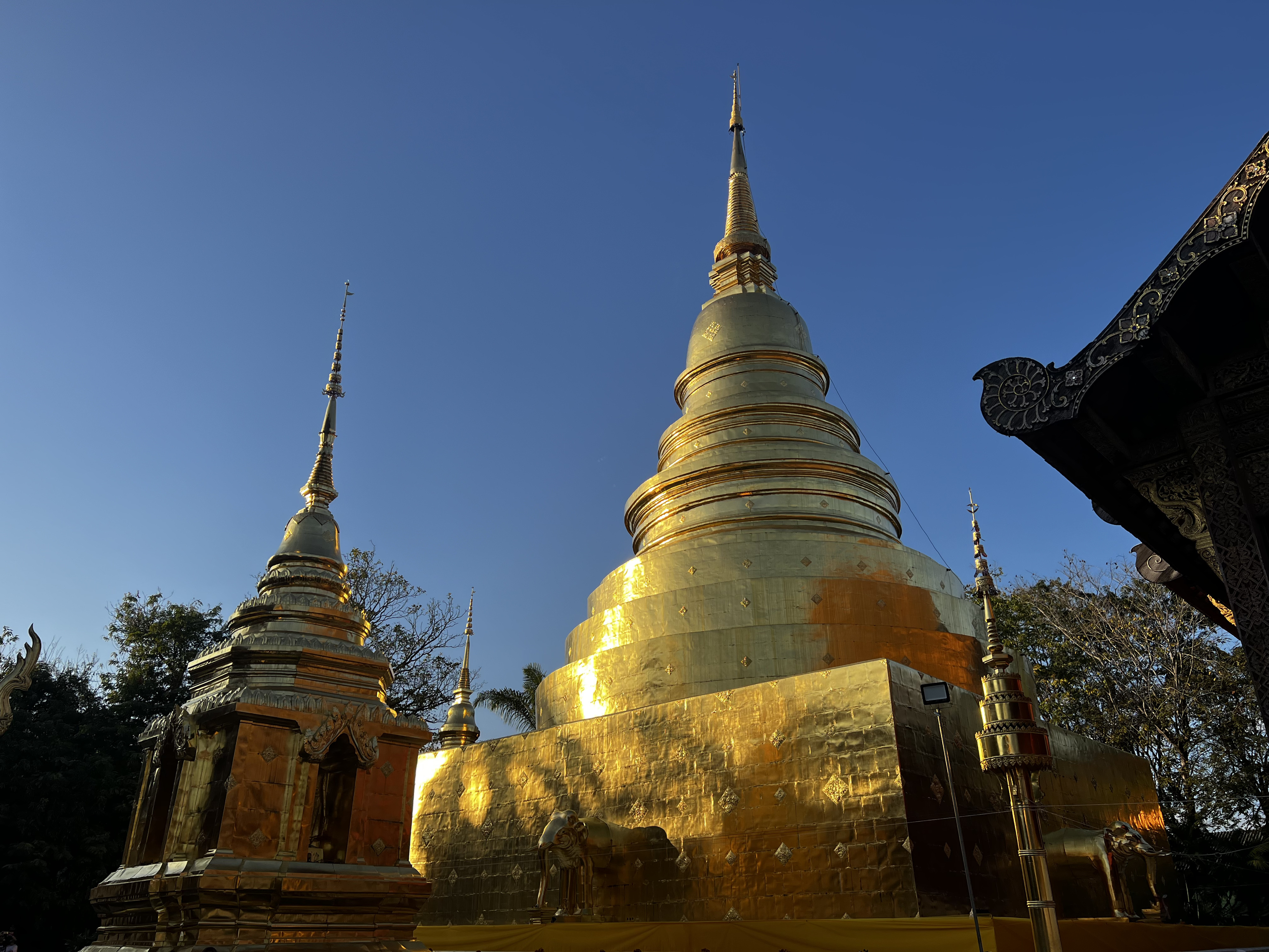 Picture Thailand Chiang Mai 2024-01 115 - Tours Chiang Mai