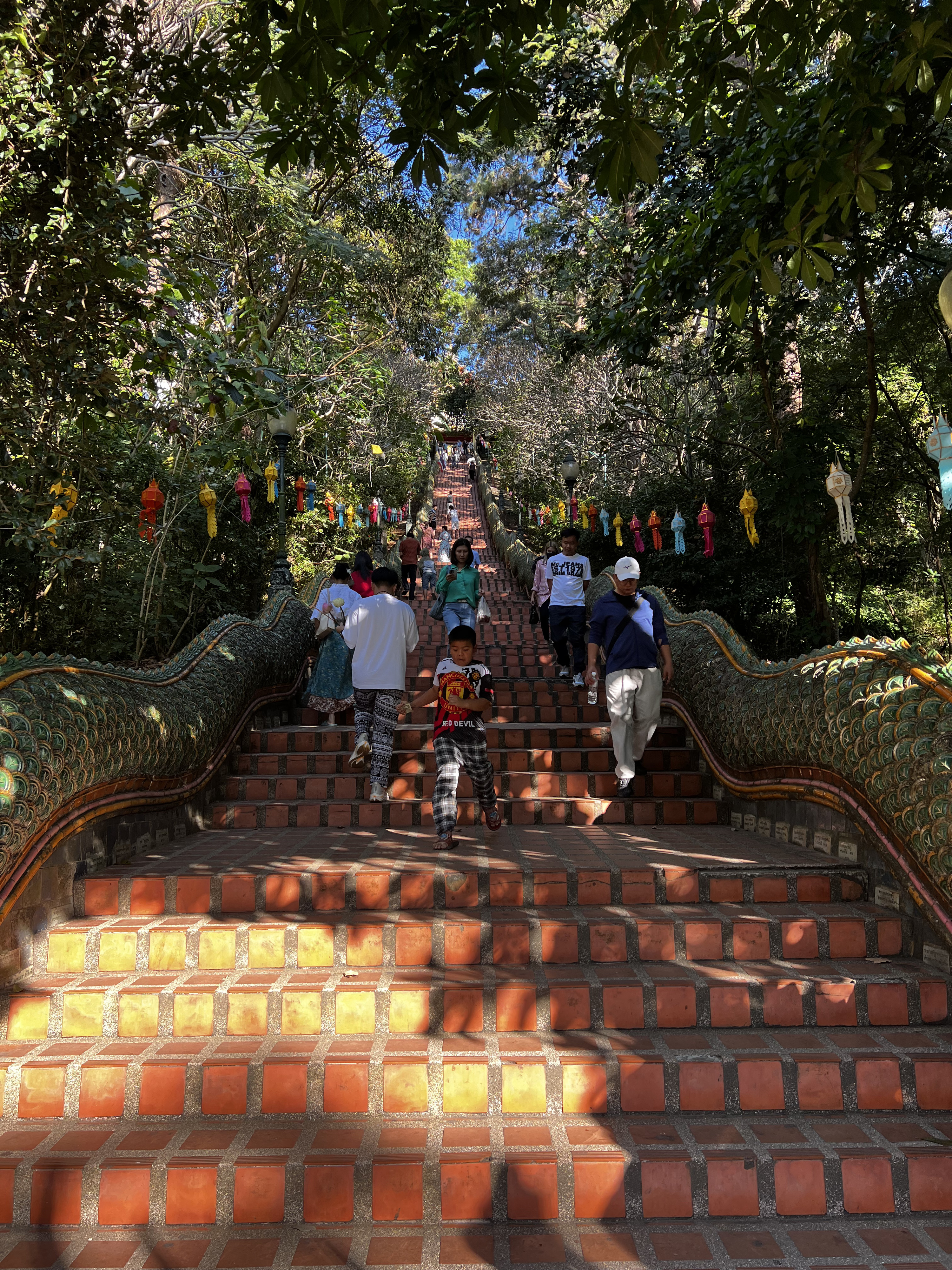 Picture Thailand Chiang Mai Doi Suthep 2024-01 29 - Discovery Doi Suthep