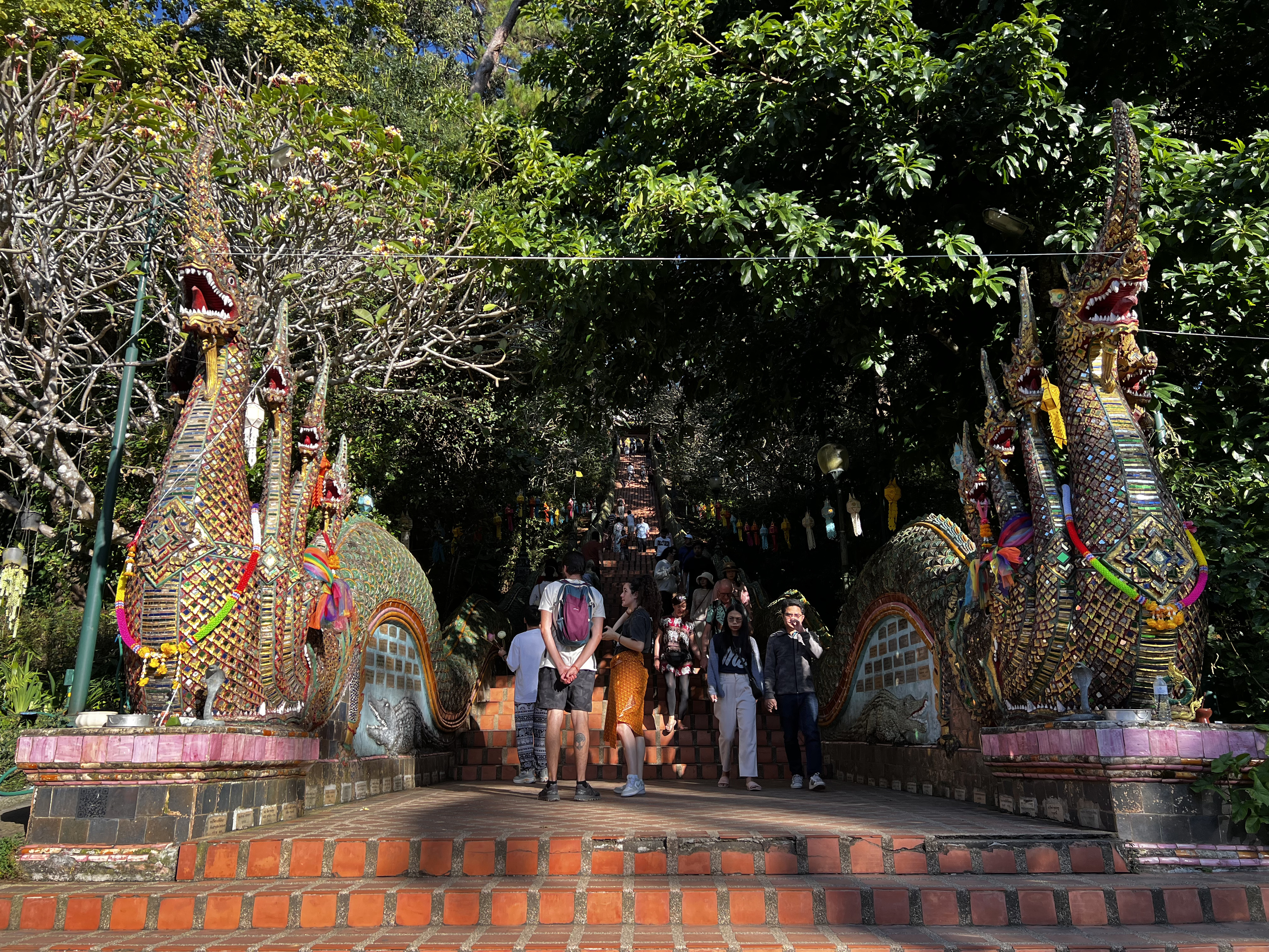 Picture Thailand Chiang Mai Doi Suthep 2024-01 30 - Discovery Doi Suthep
