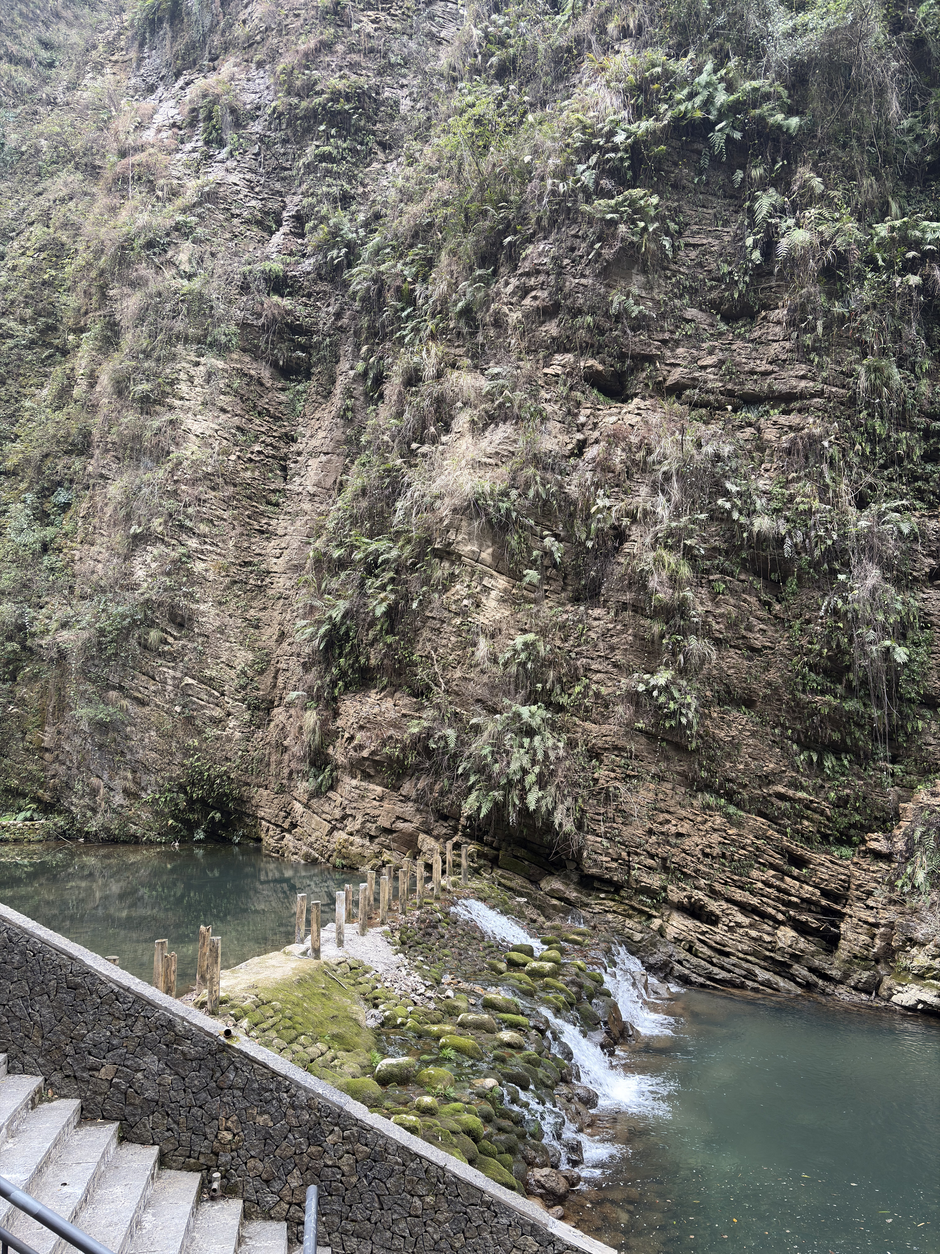 Picture China Zhangjiajie Grand Canion 2026-01 40 - Tour Grand Canion