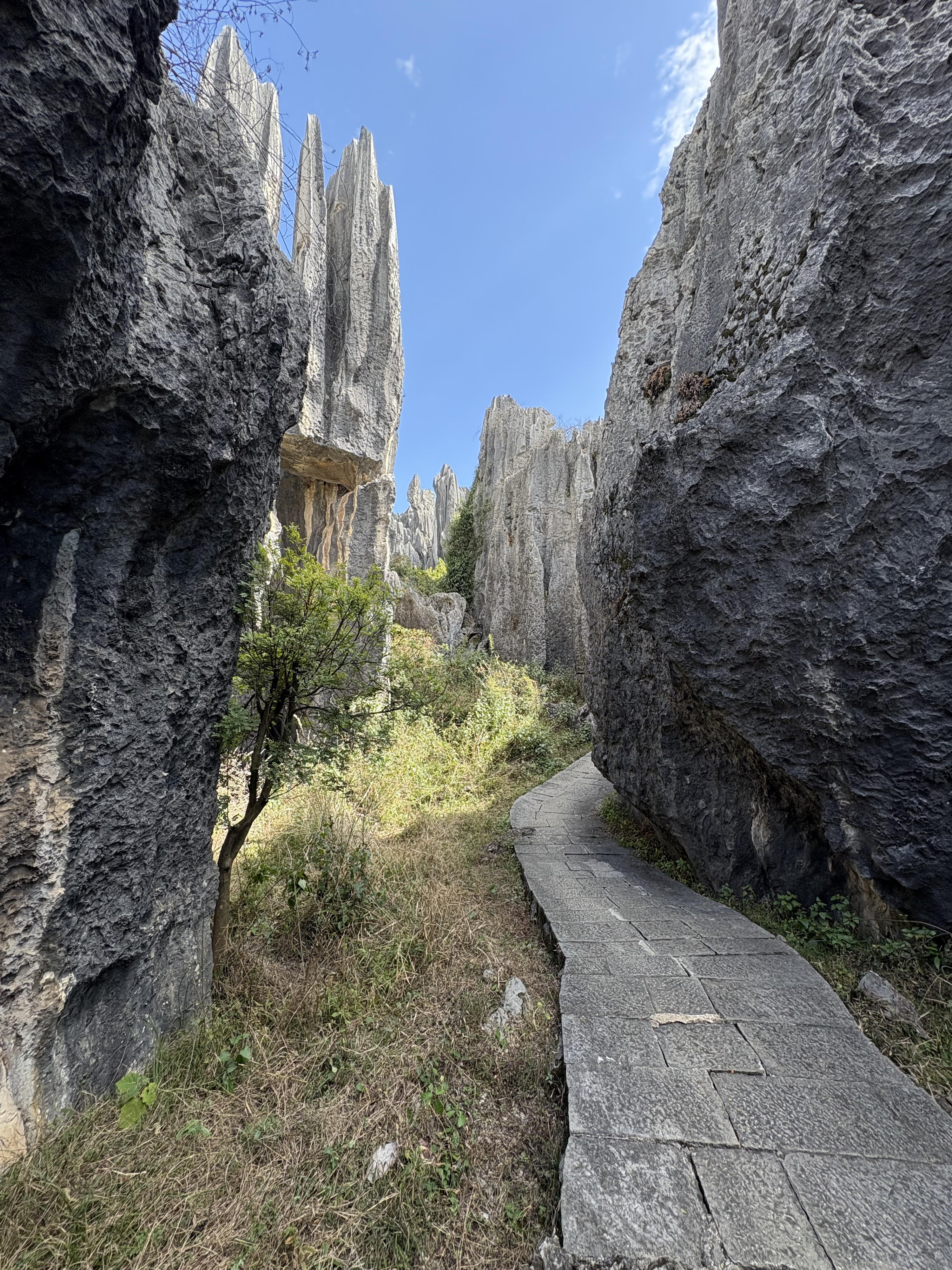Picture China Shilin Stone Forest 2026-01 163 - Tours Shilin Stone Forest