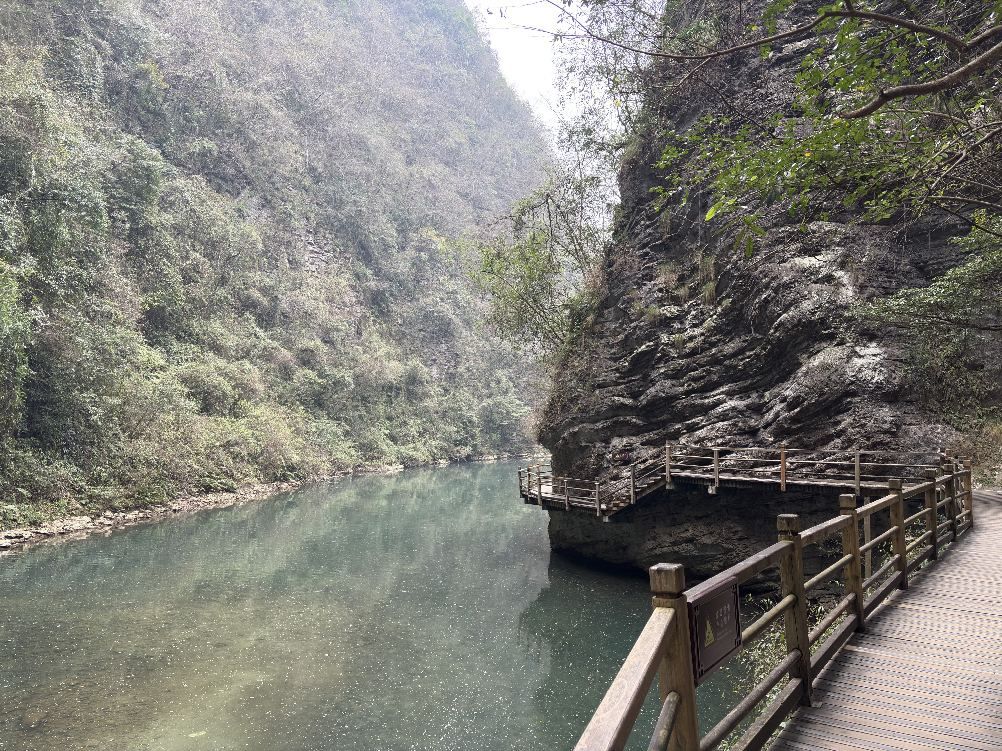 Picture China Zhangjiajie Grand Canion 2026-01 20 - Around Grand Canion