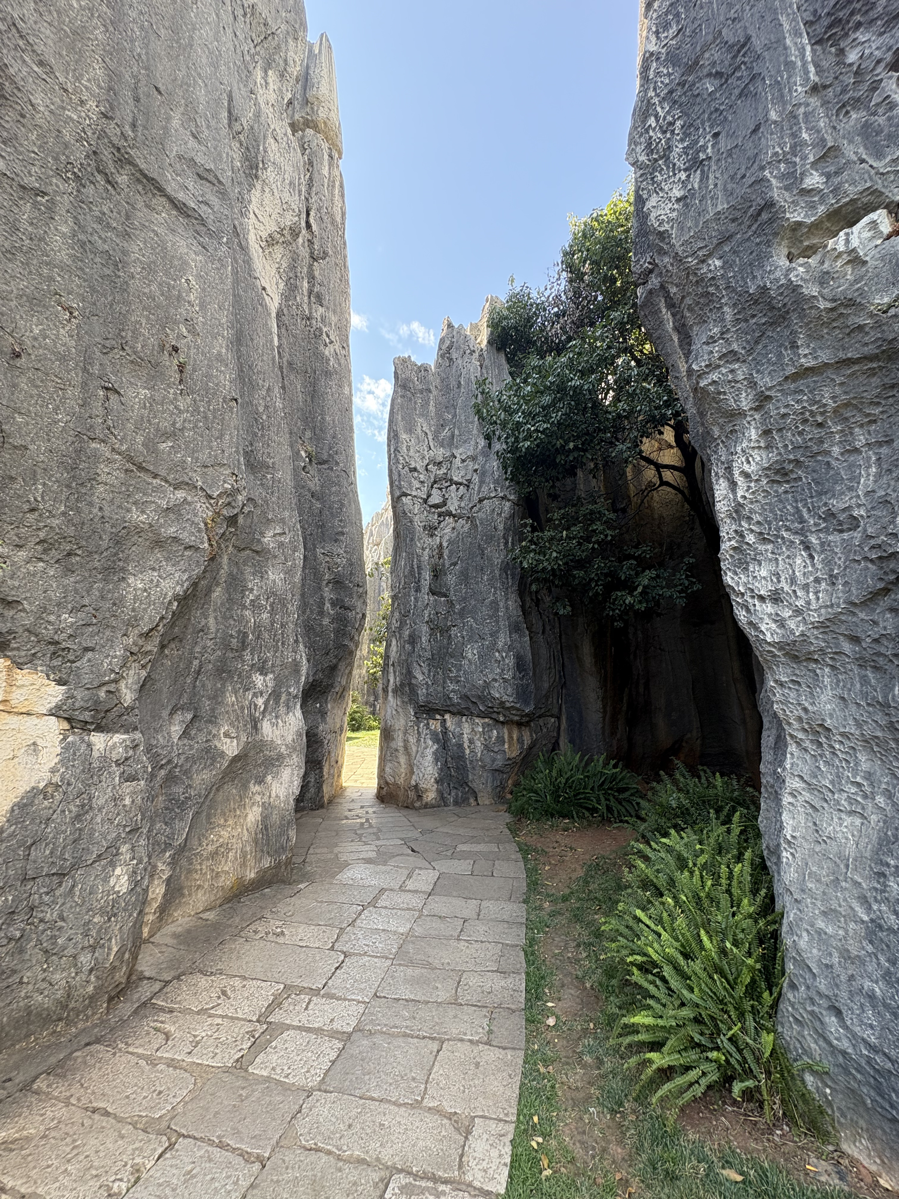 Picture China Shilin Stone Forest 2026-01 127 - Center Shilin Stone Forest