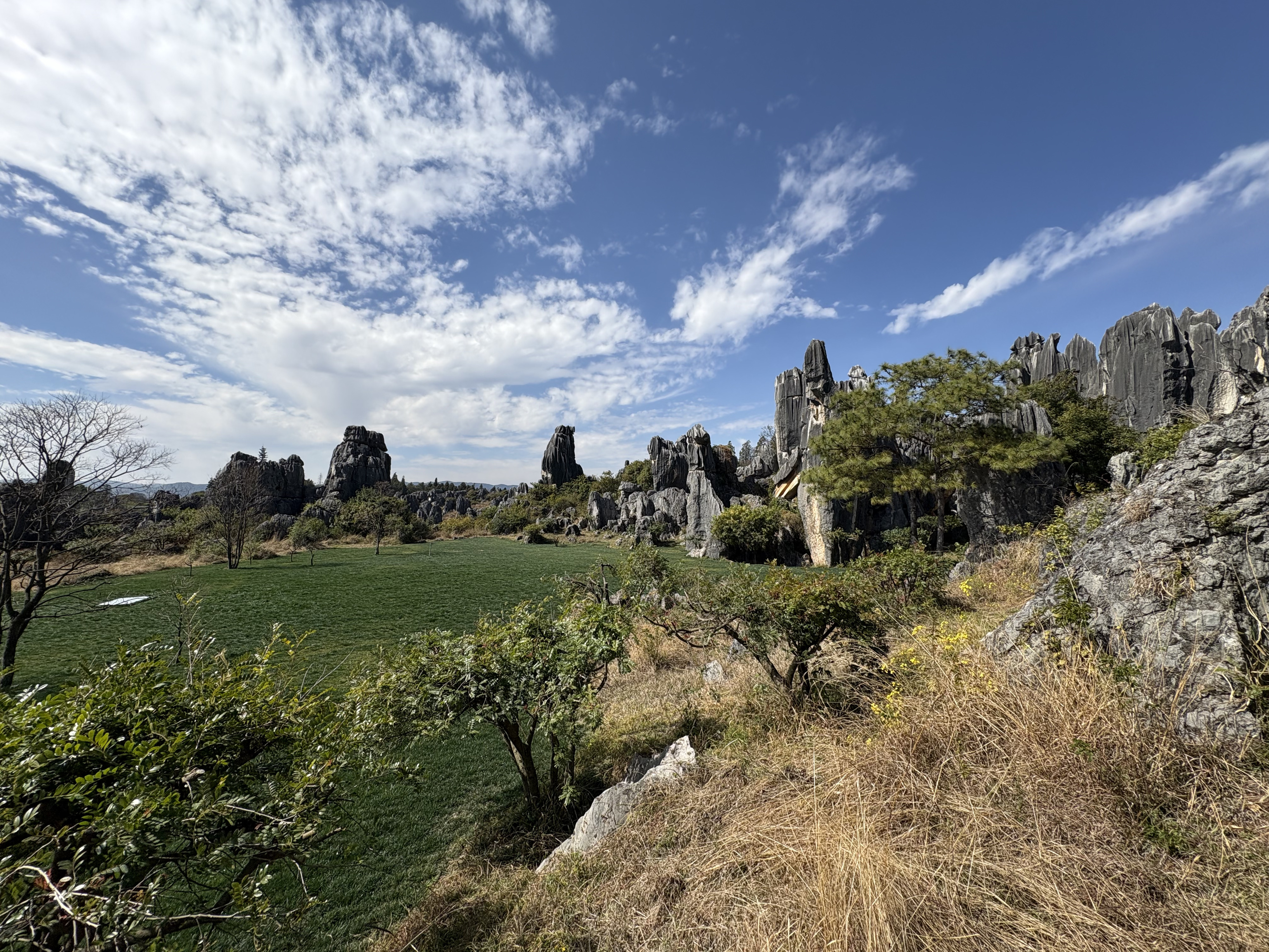 Picture China Shilin Stone Forest 2026-01 331 - Center Shilin Stone Forest