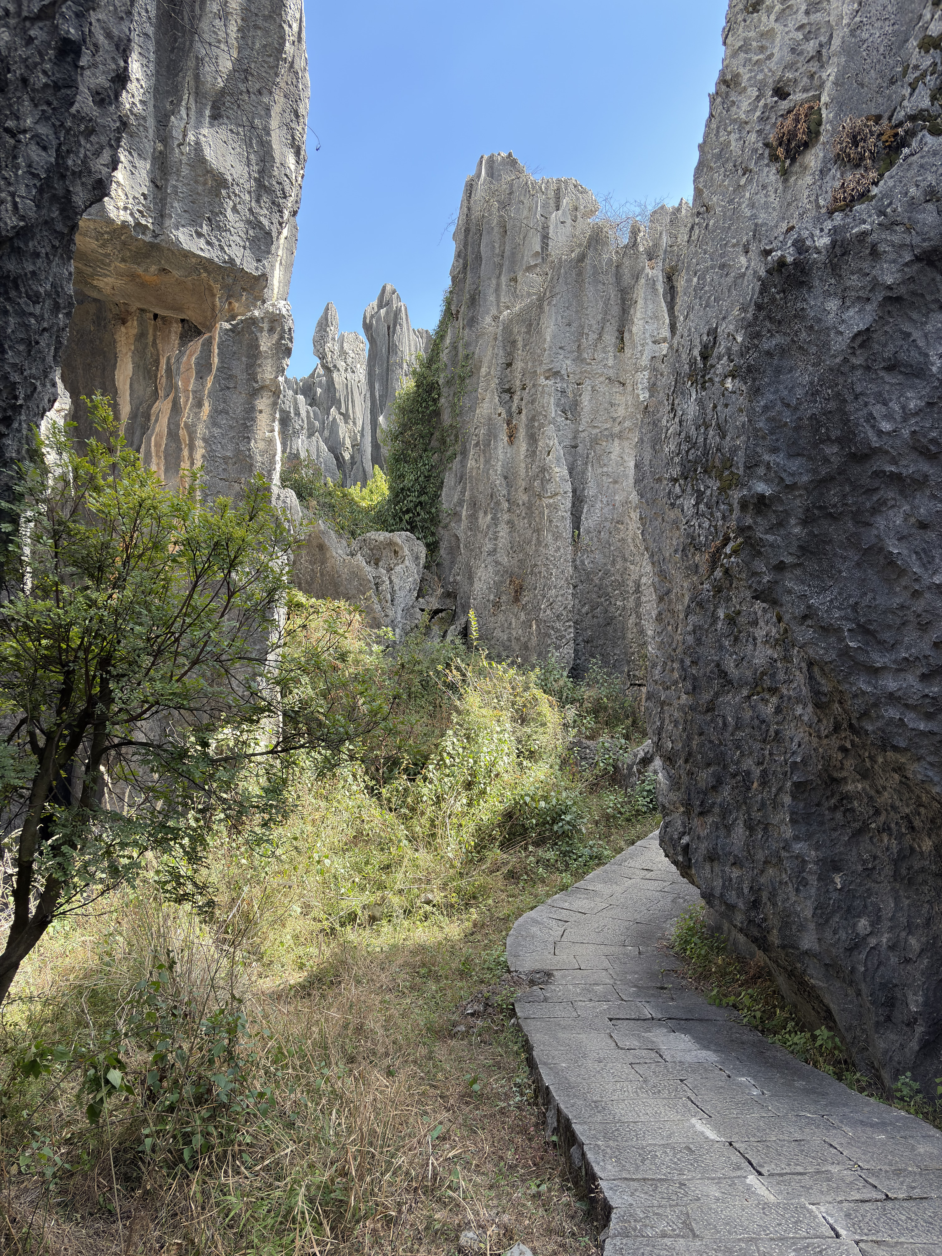 Picture China Shilin Stone Forest 2026-01 124 - Discovery Shilin Stone Forest