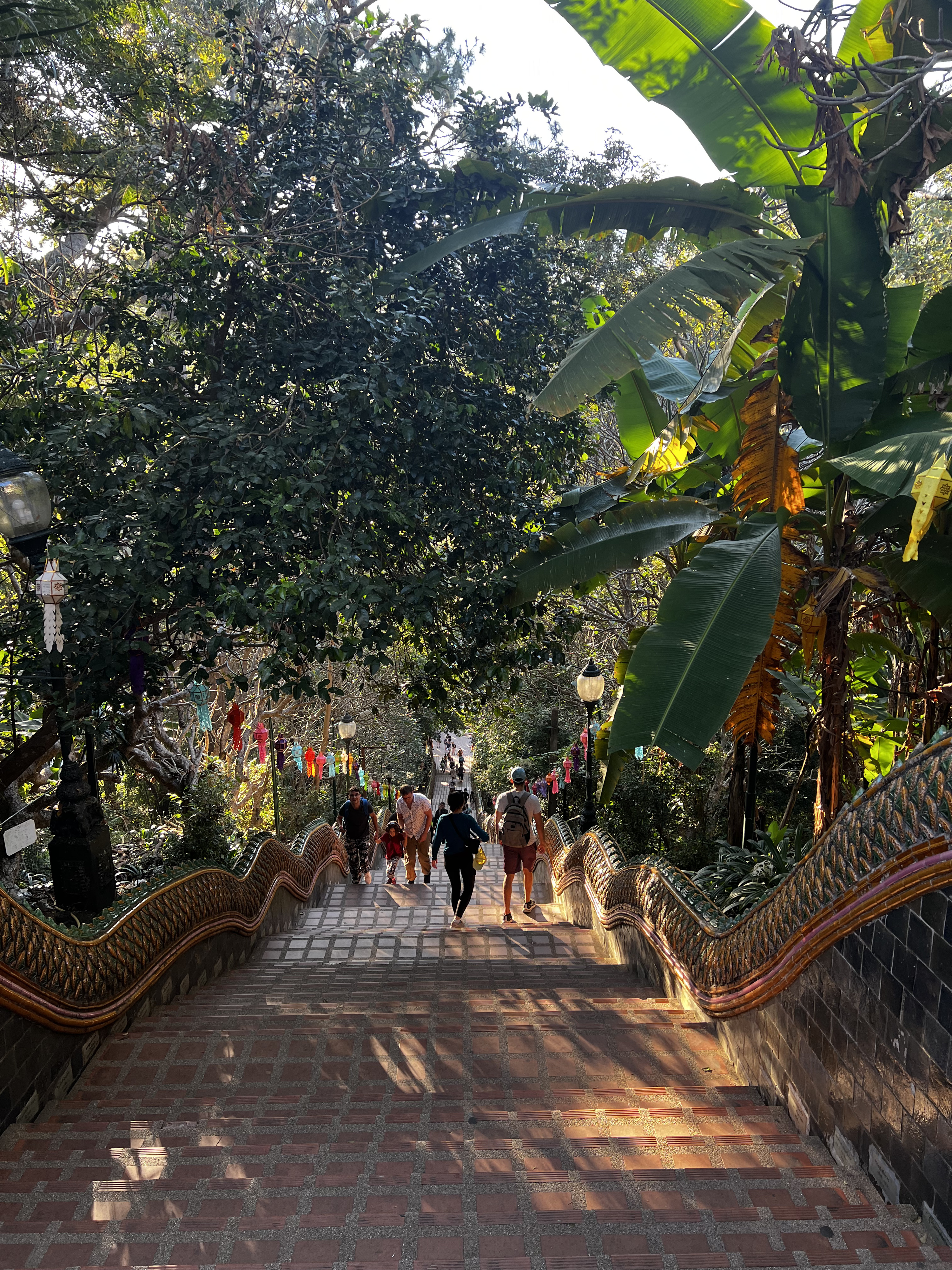 Picture Thailand Chiang Mai Doi Suthep 2024-01 15 - Center Doi Suthep