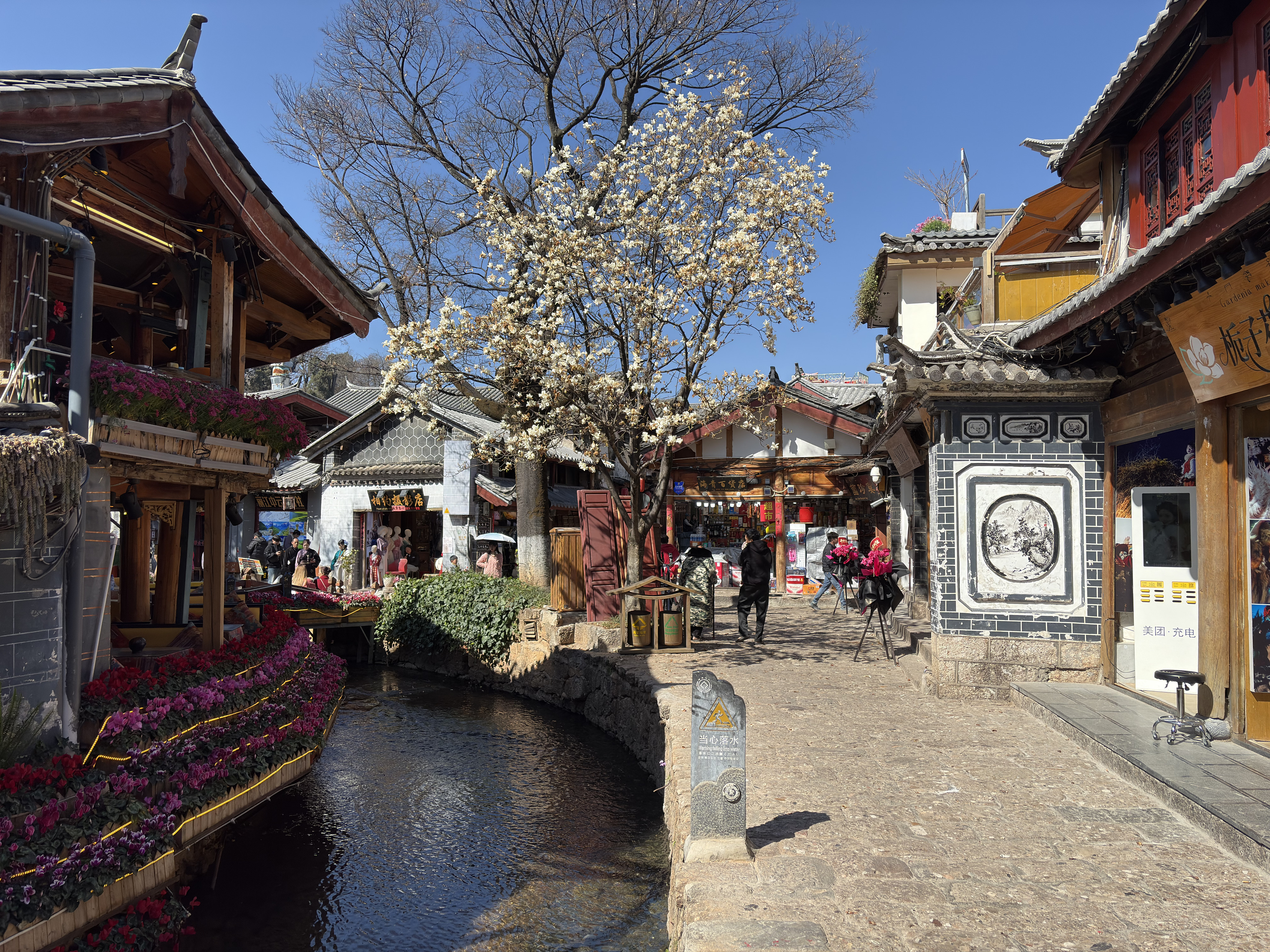 Picture China Lijiang 2026-01 279 - Discovery Lijiang