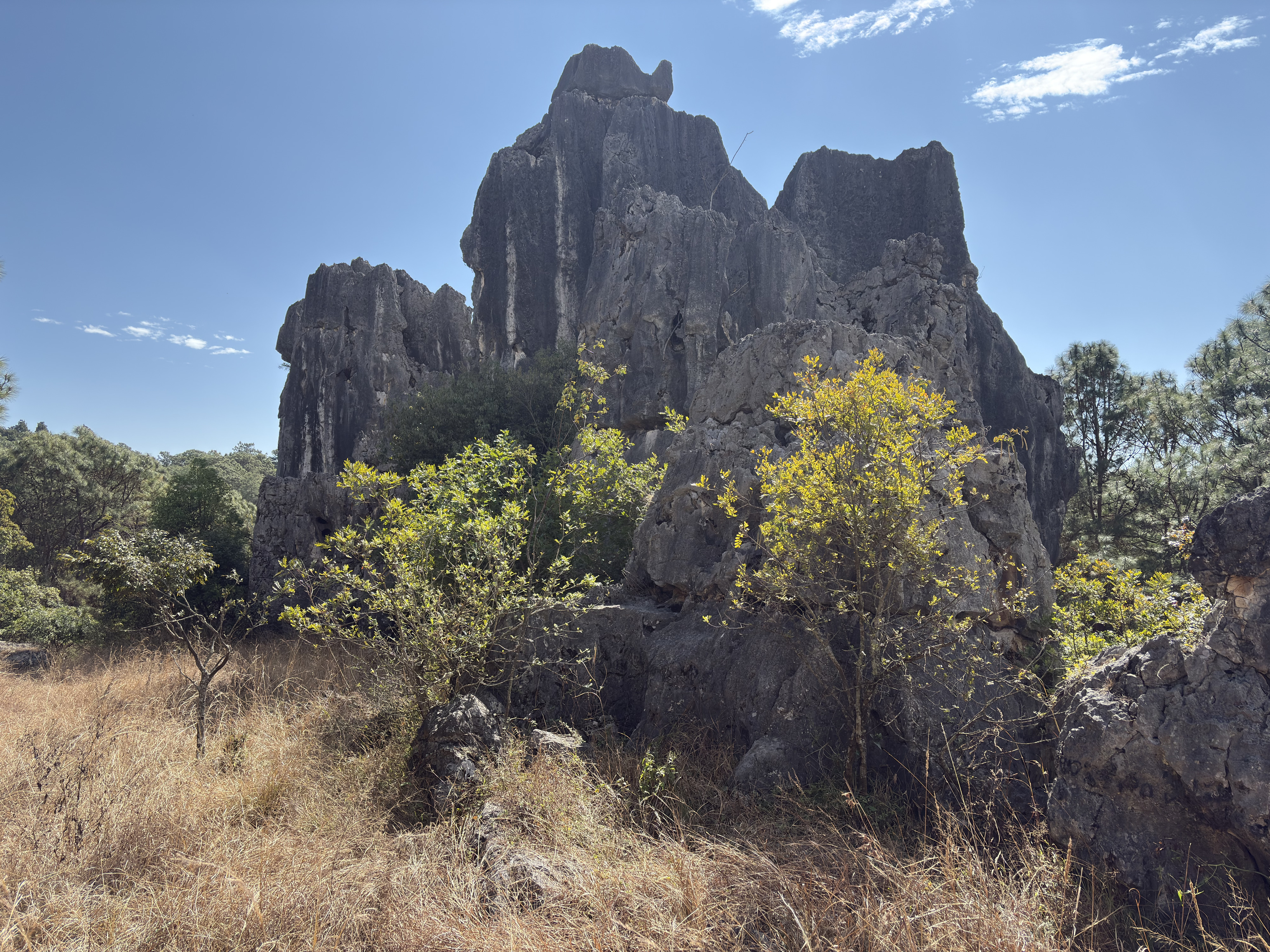 Picture China Shilin Stone Forest 2026-01 28 - Recreation Shilin Stone Forest