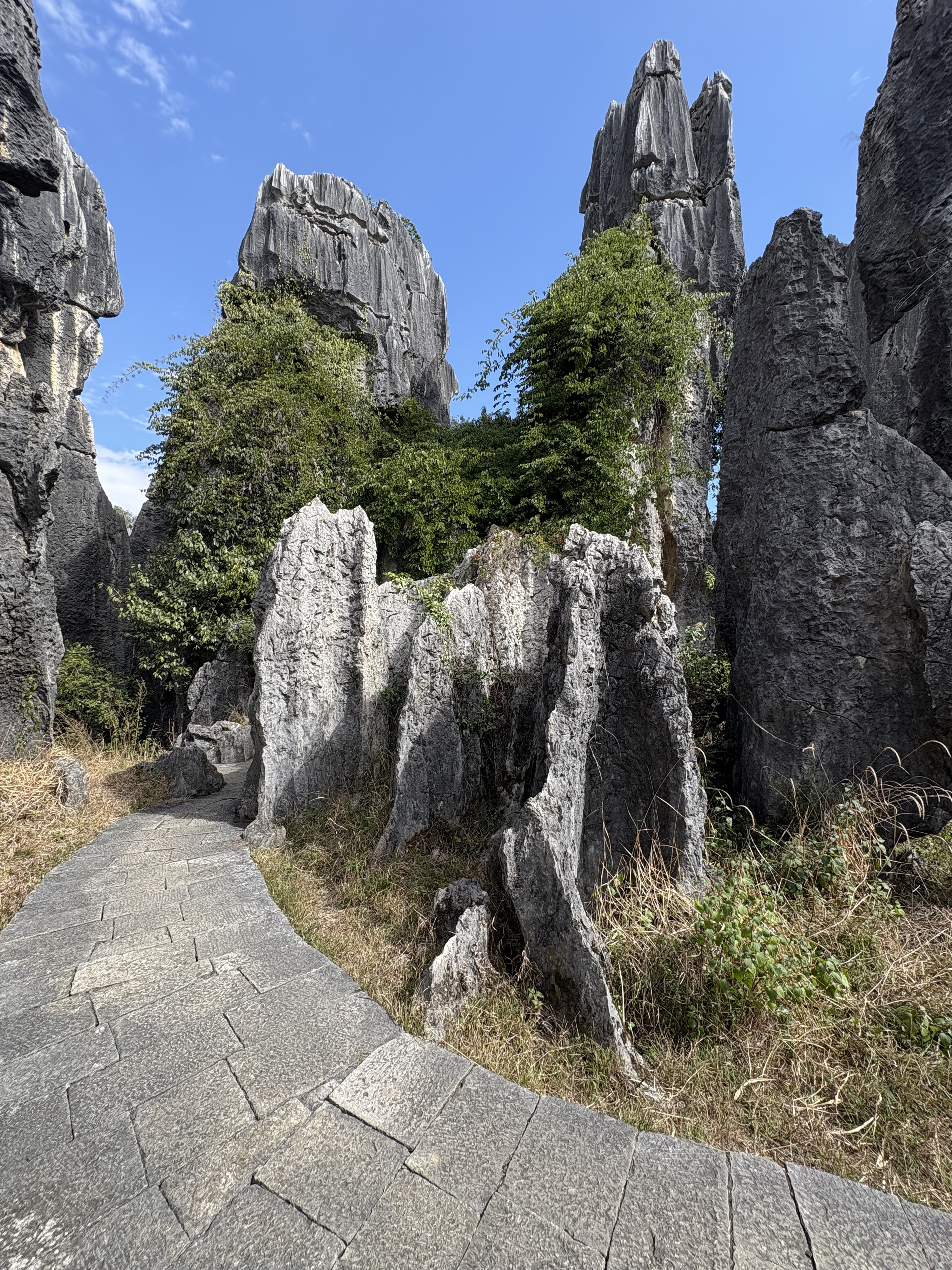 Picture China Shilin Stone Forest 2026-01 8 - Tour Shilin Stone Forest
