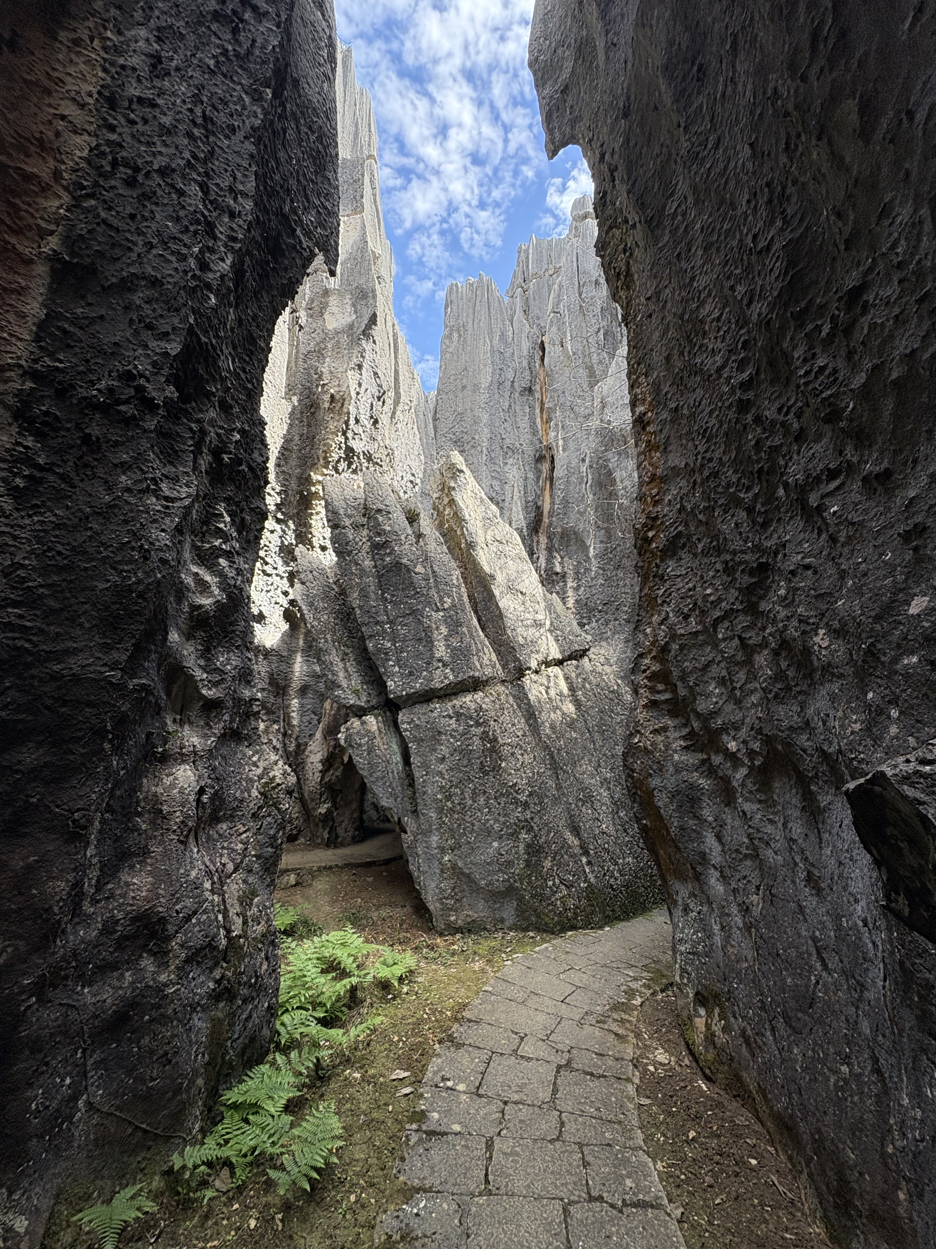 Picture China Shilin Stone Forest 2026-01 97 - Recreation Shilin Stone Forest