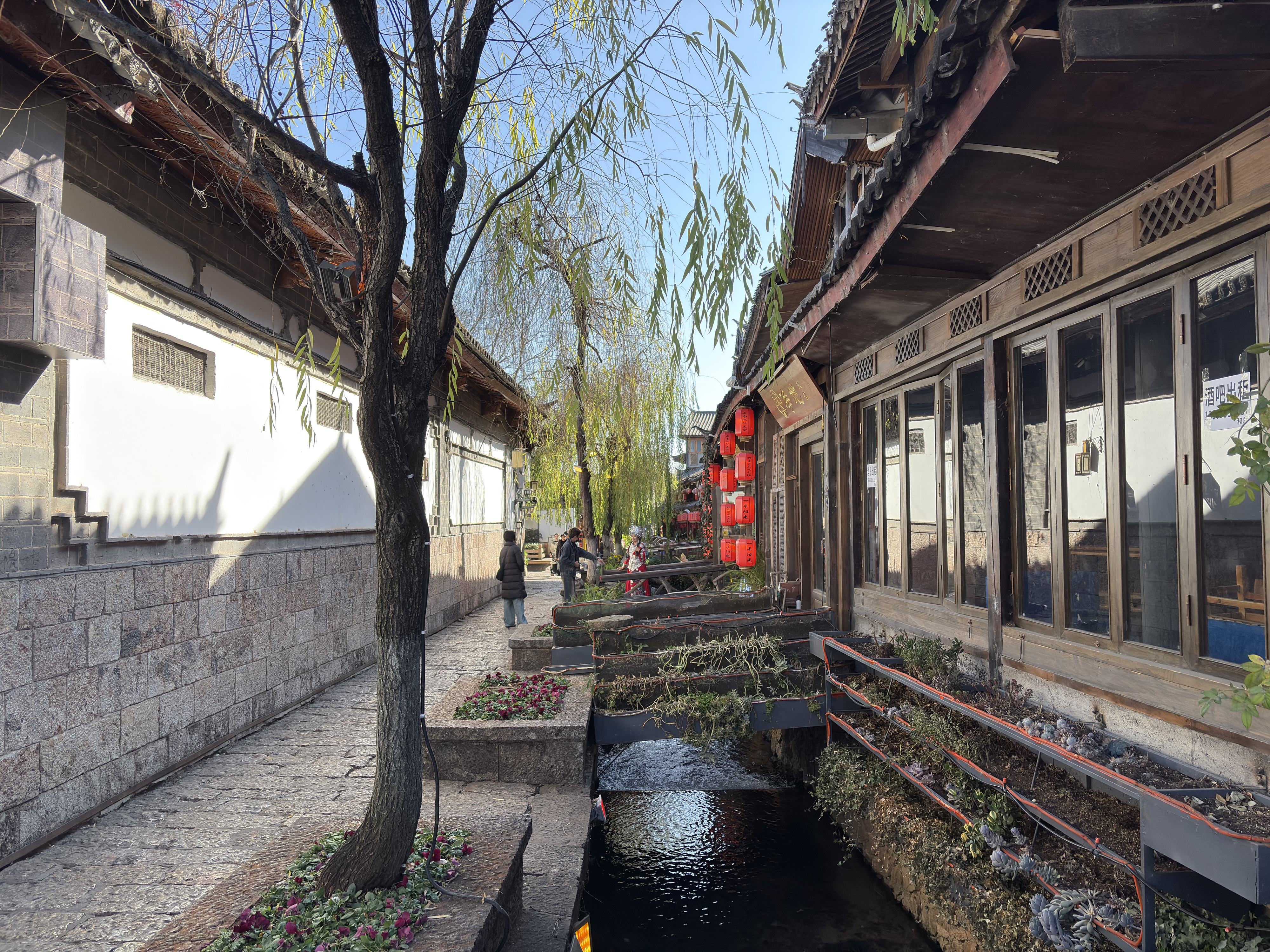 Picture China Lijiang 2026-01 778 - Recreation Lijiang