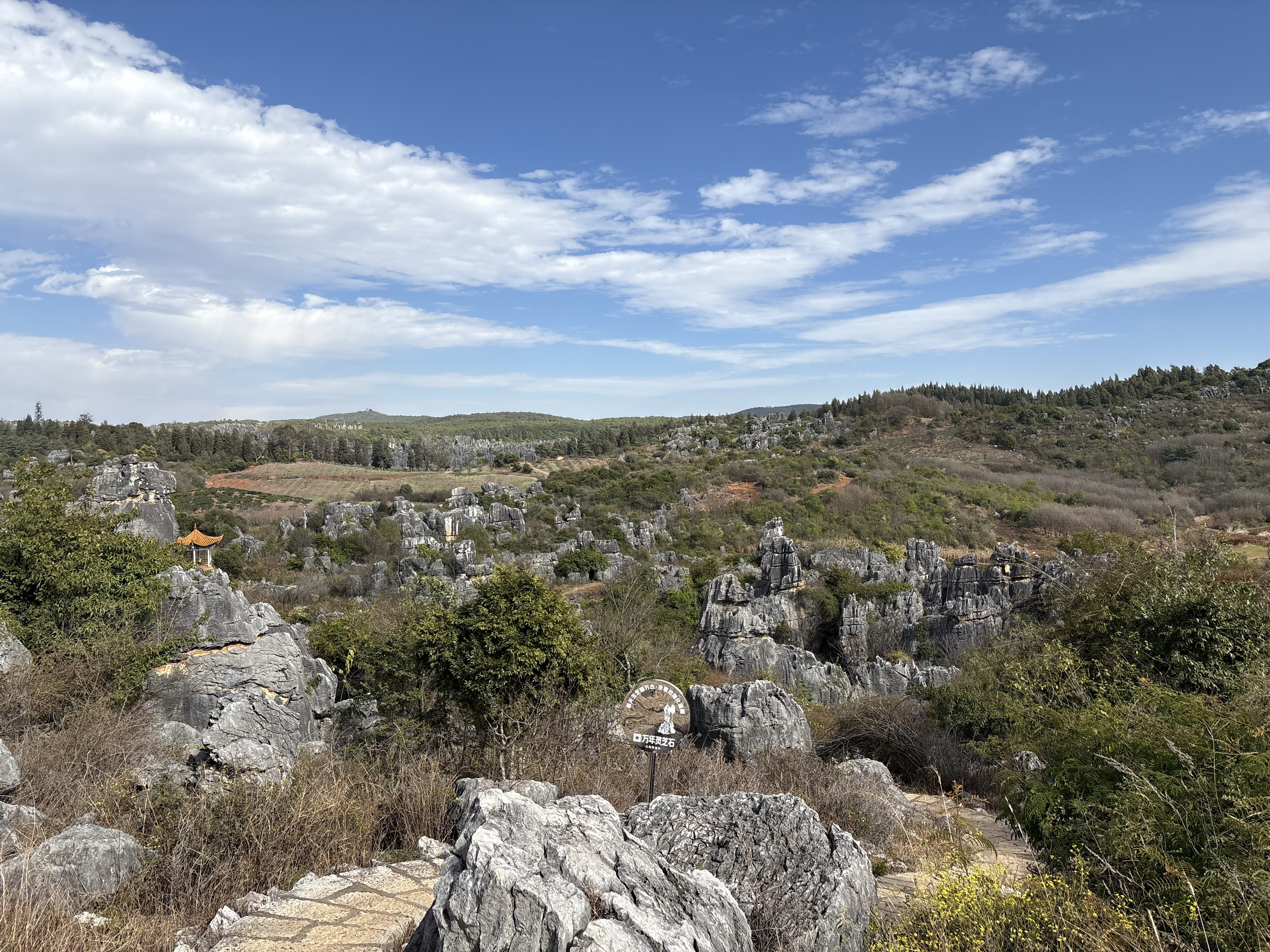 Picture China Shilin Stone Forest 2026-01 304 - History Shilin Stone Forest