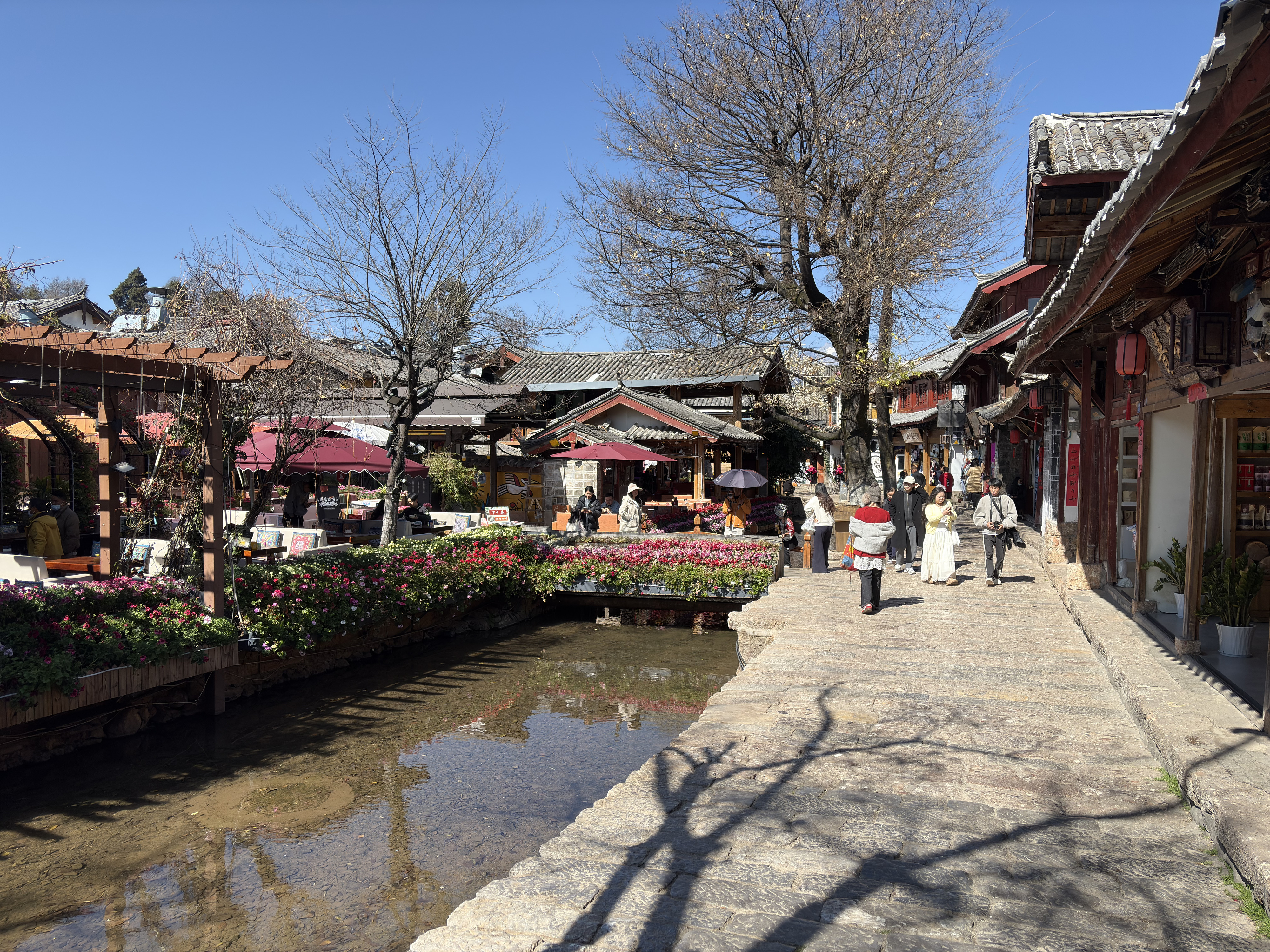 Picture China Lijiang 2026-01 616 - Journey Lijiang