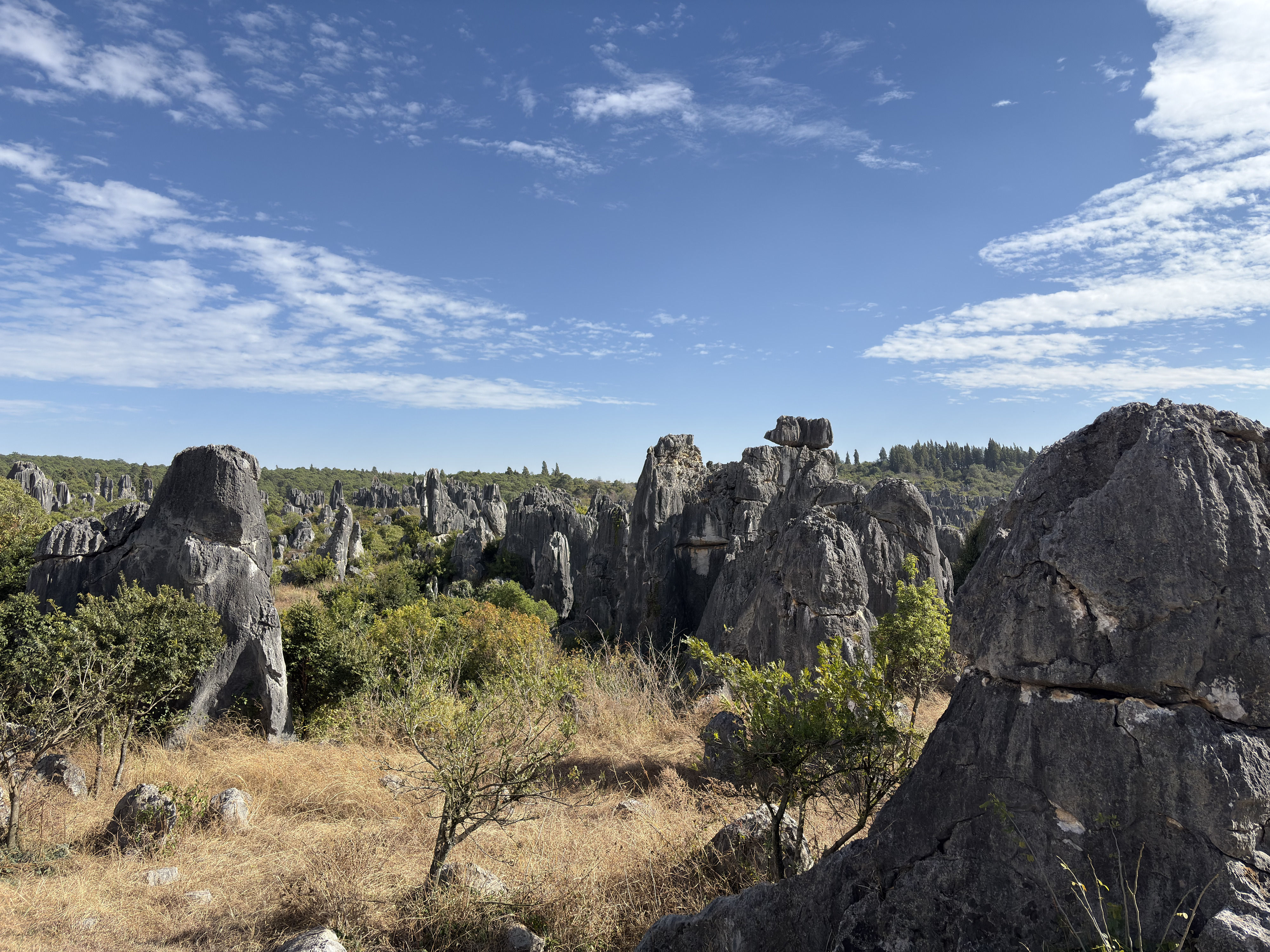 Picture China Shilin Stone Forest 2026-01 198 - Discovery Shilin Stone Forest