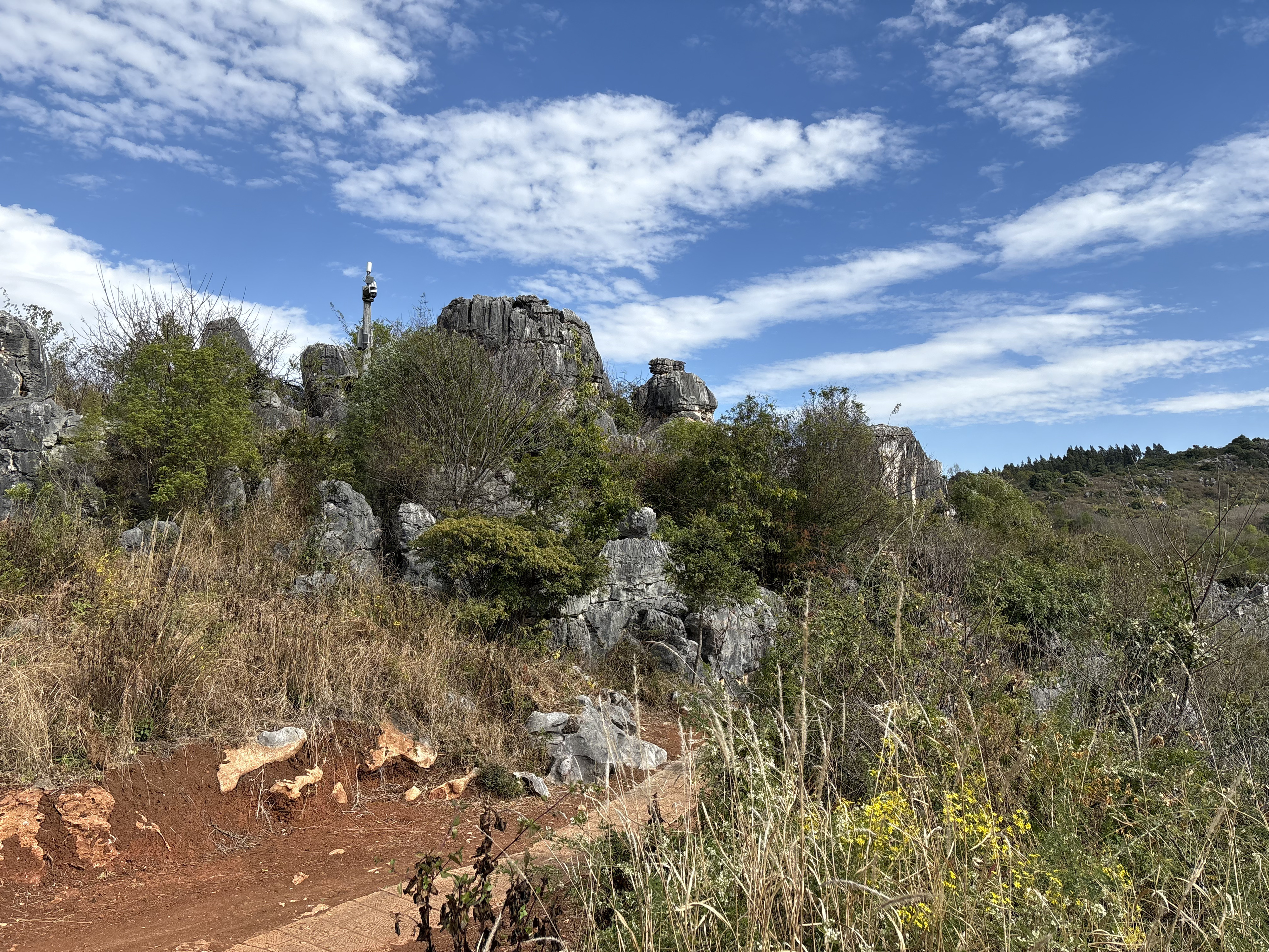 Picture China Shilin Stone Forest 2026-01 88 - Tour Shilin Stone Forest