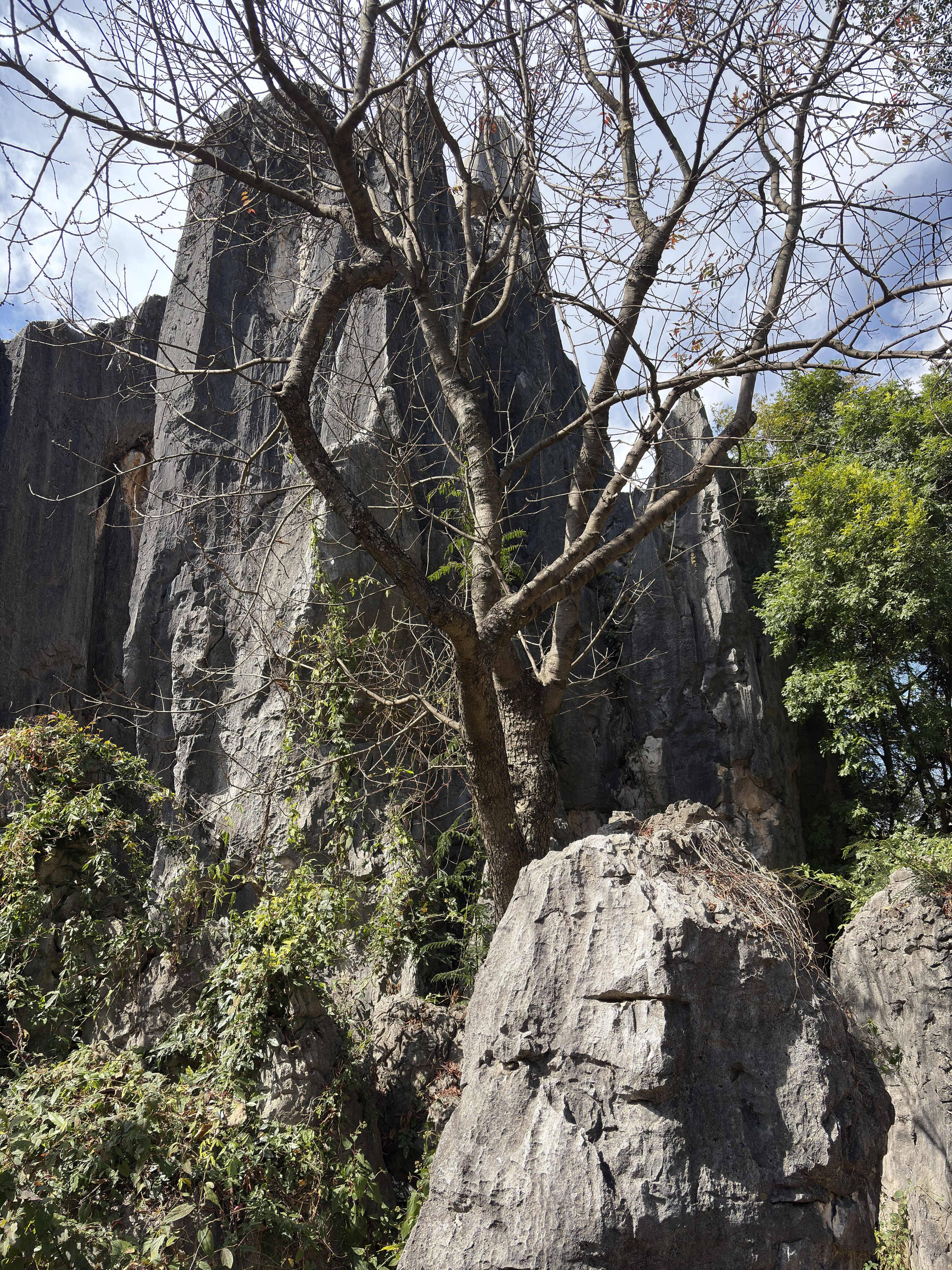 Picture China Shilin Stone Forest 2026-01 58 - History Shilin Stone Forest