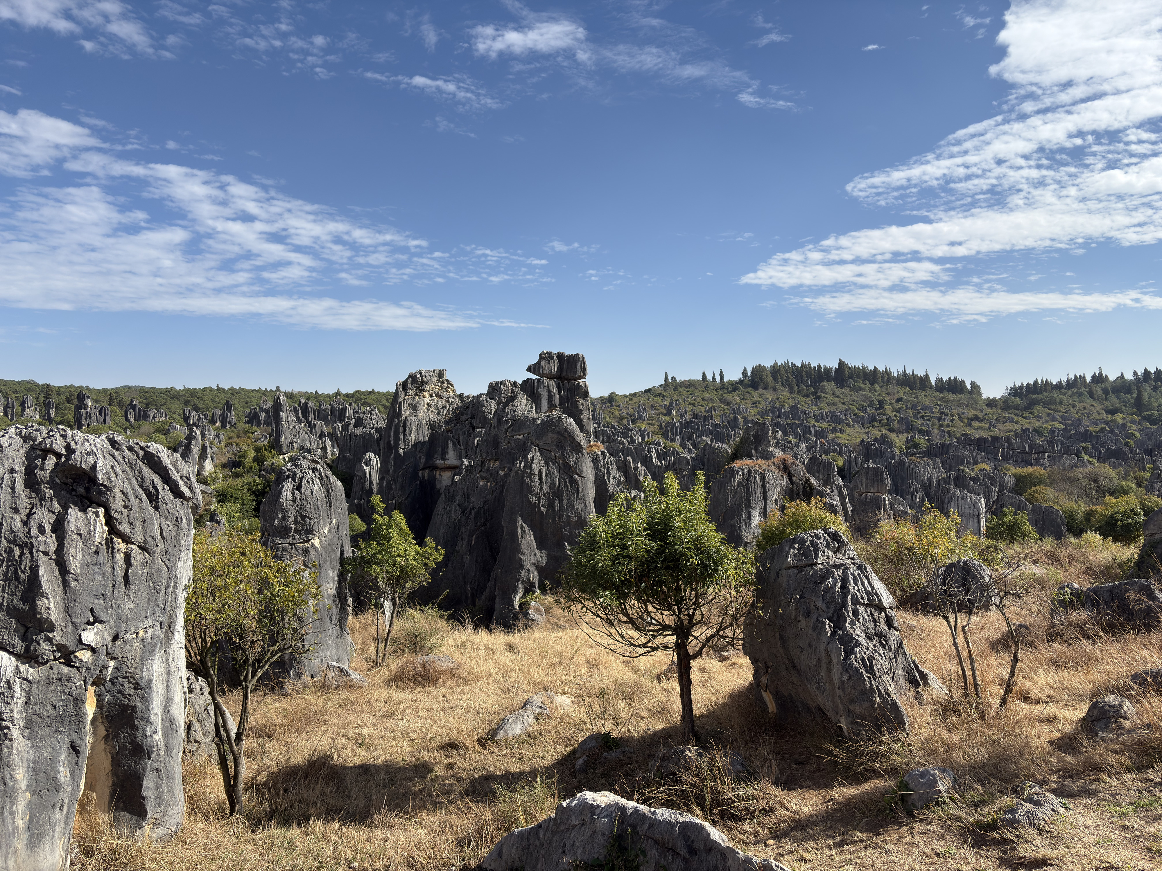 Picture China Shilin Stone Forest 2026-01 367 - Recreation Shilin Stone Forest