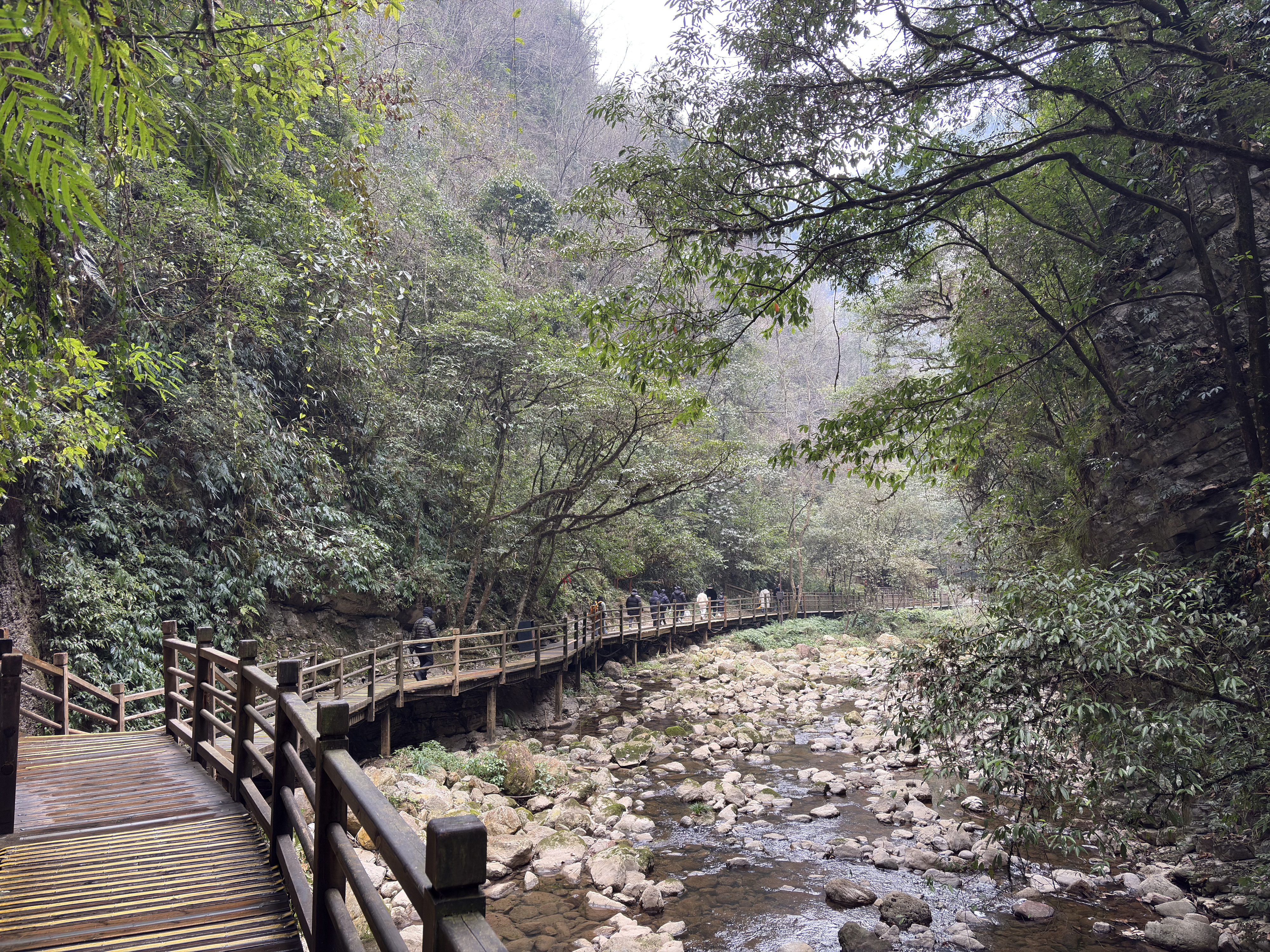 Picture China Zhangjiajie Grand Canion 2026-01 13 - Tours Grand Canion