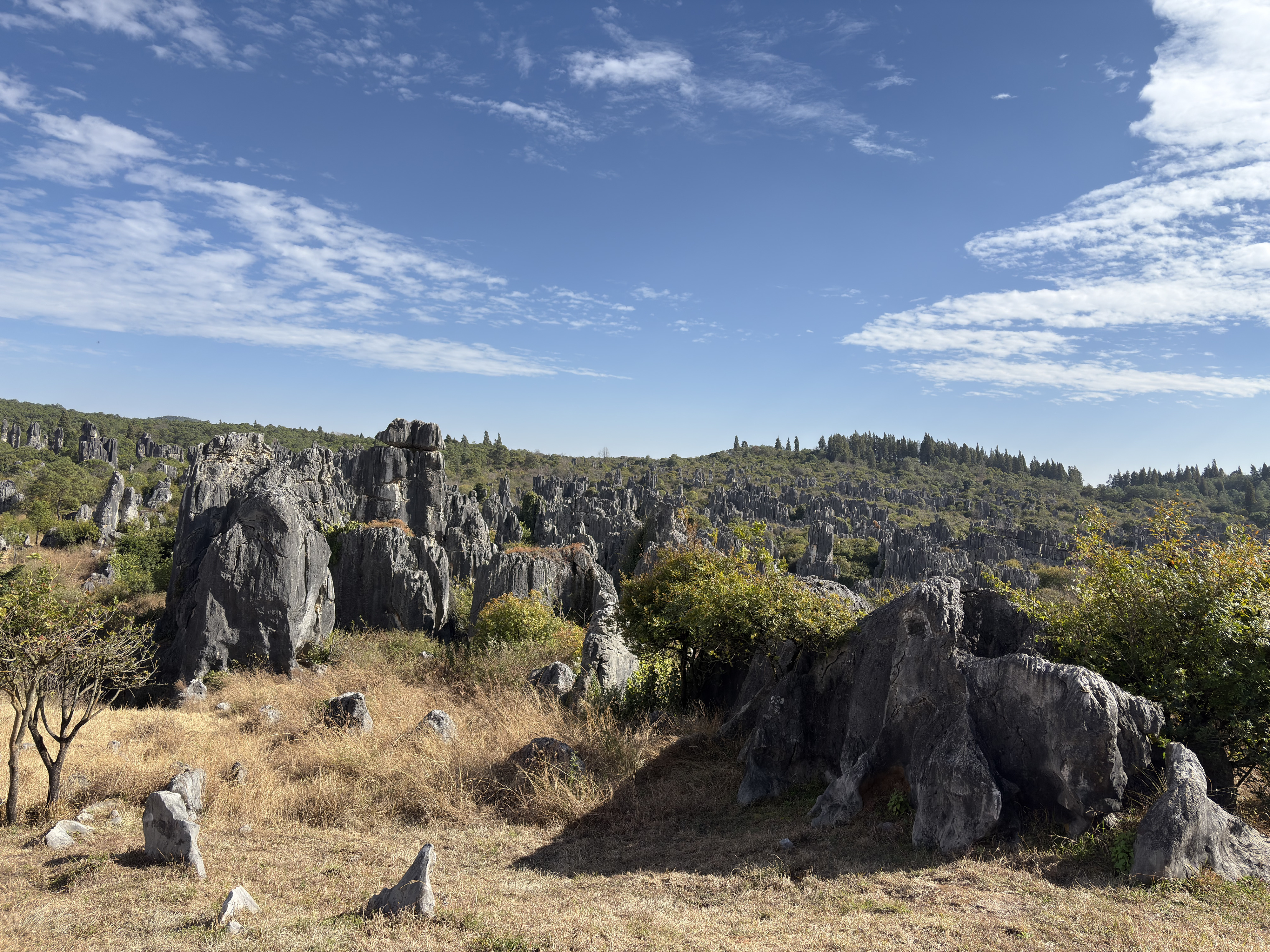 Picture China Shilin Stone Forest 2026-01 332 - History Shilin Stone Forest