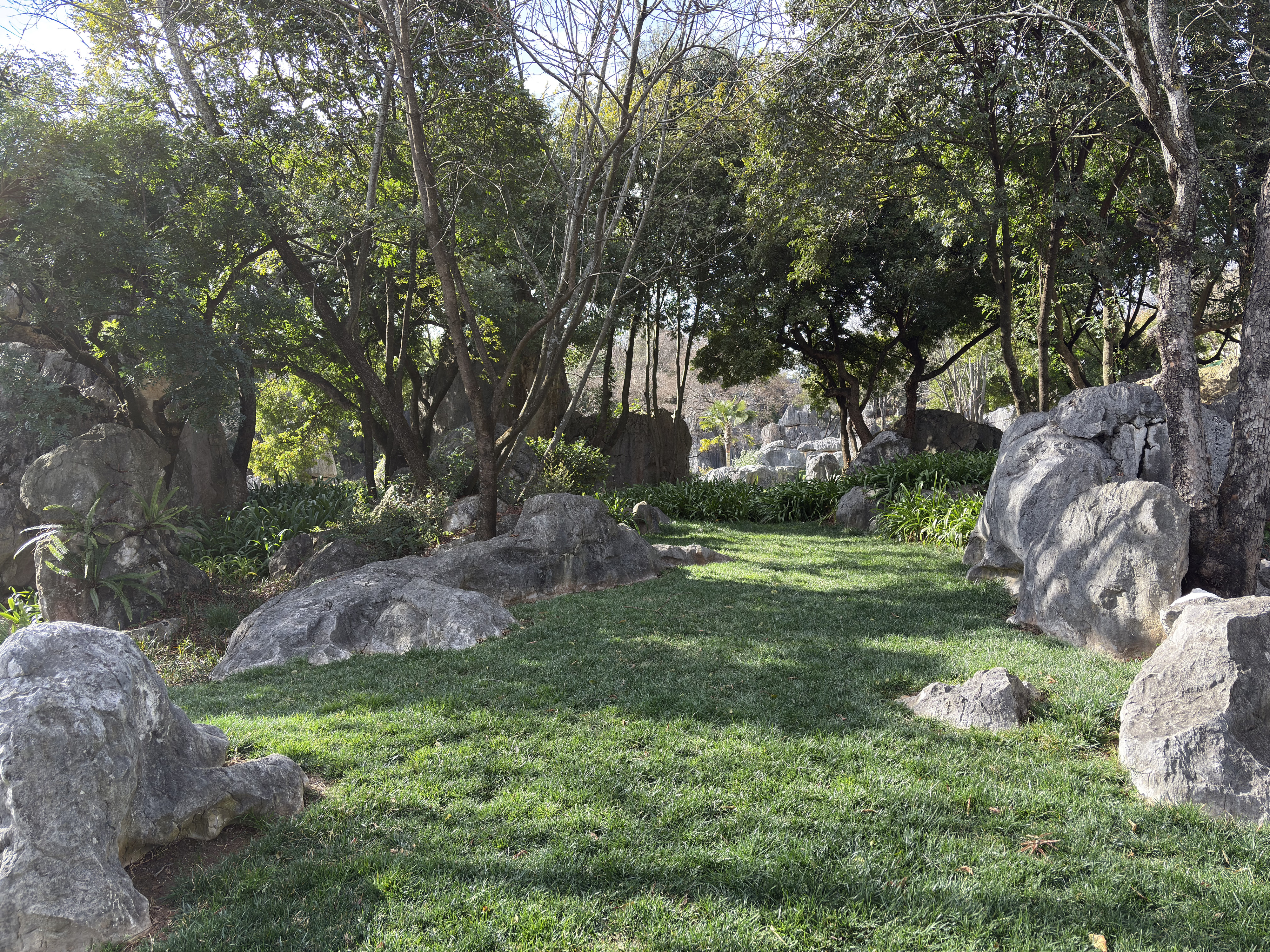 Picture China Shilin Stone Forest 2026-01 269 - Recreation Shilin Stone Forest
