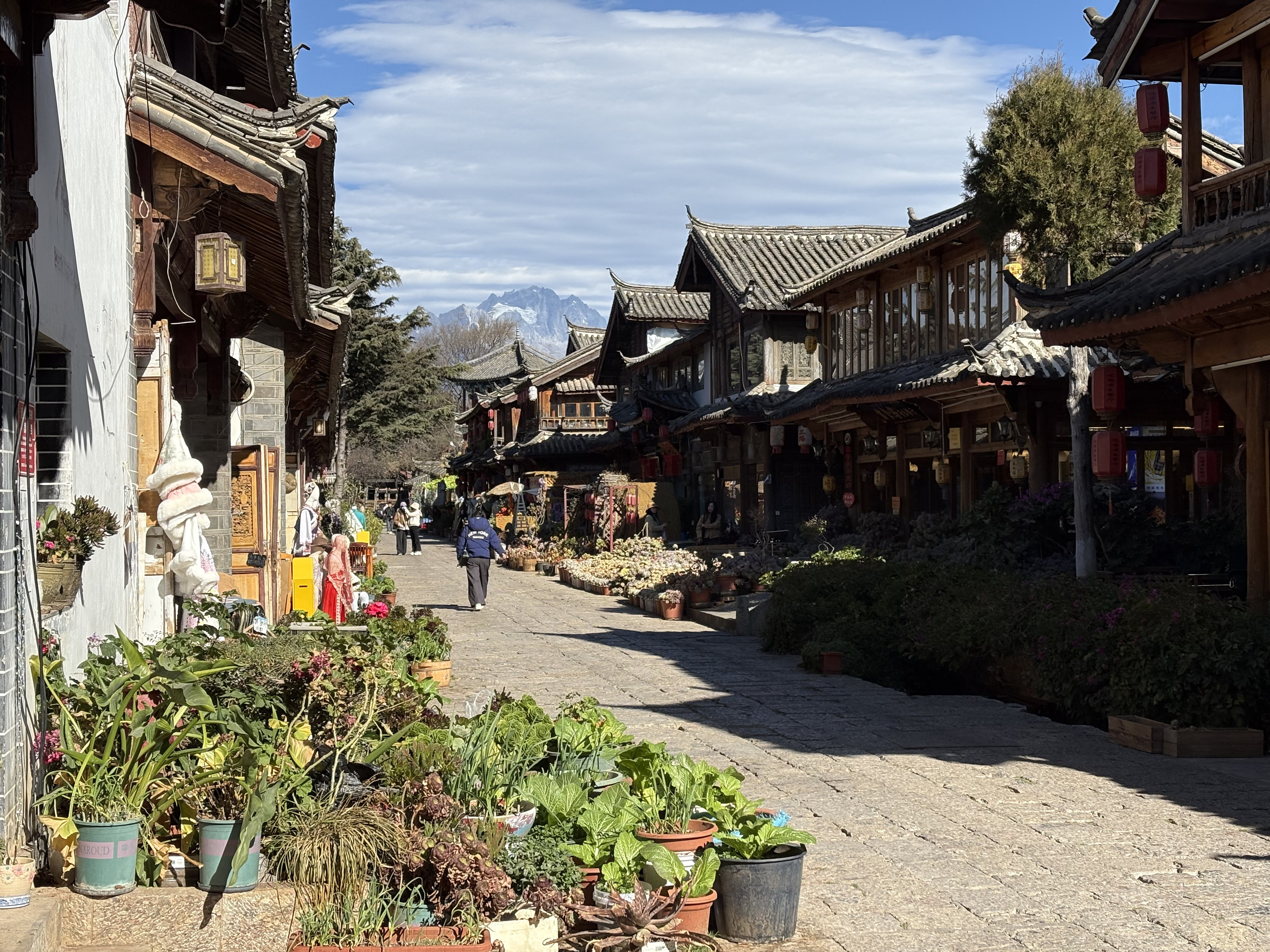 Picture China Lijiang 2026-01 246 - Center Lijiang