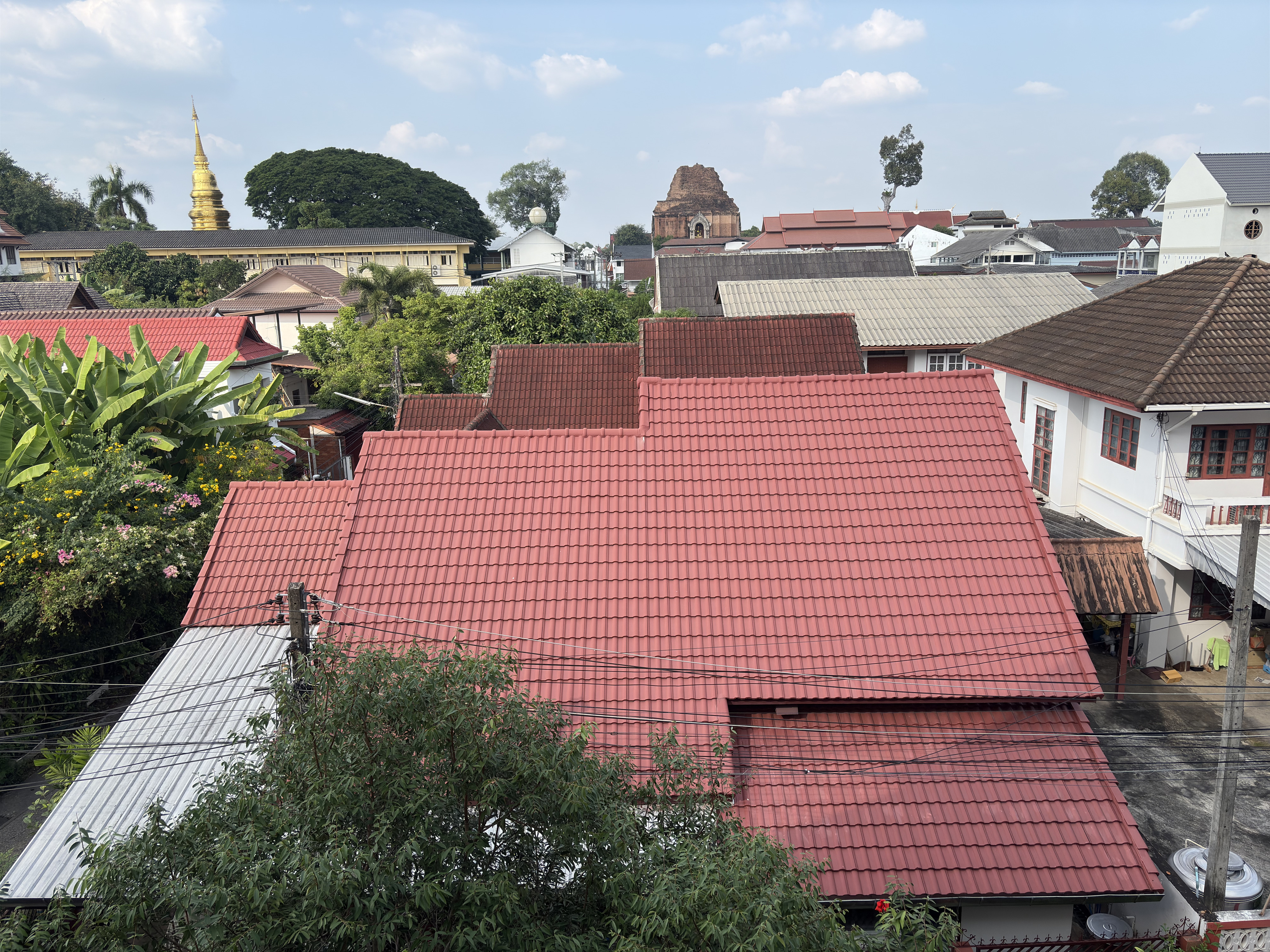 Picture Thailand Chiang Mai Kalm 2024-12 89 - Recreation Kalm