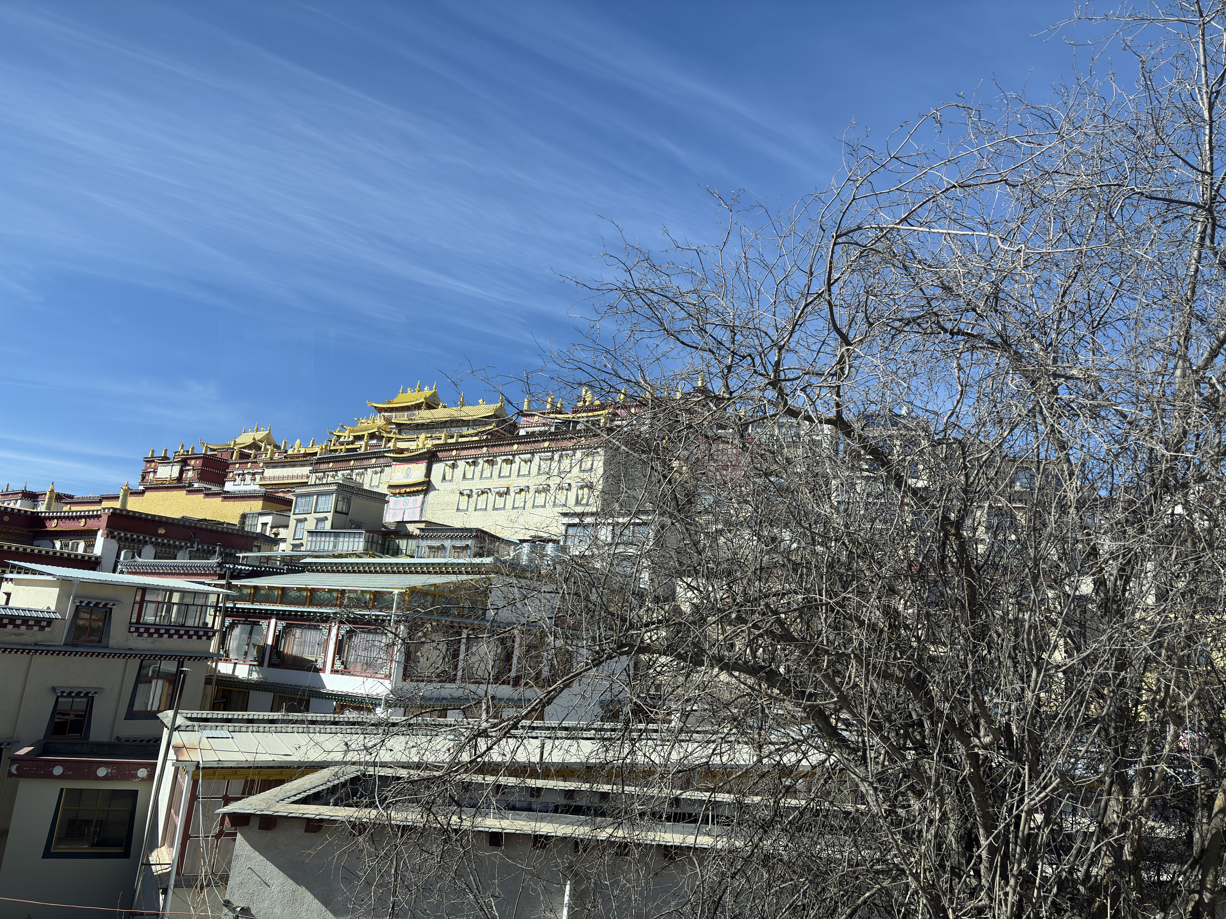 Picture China Shangri La 2026-01 381 - Journey Shangri La