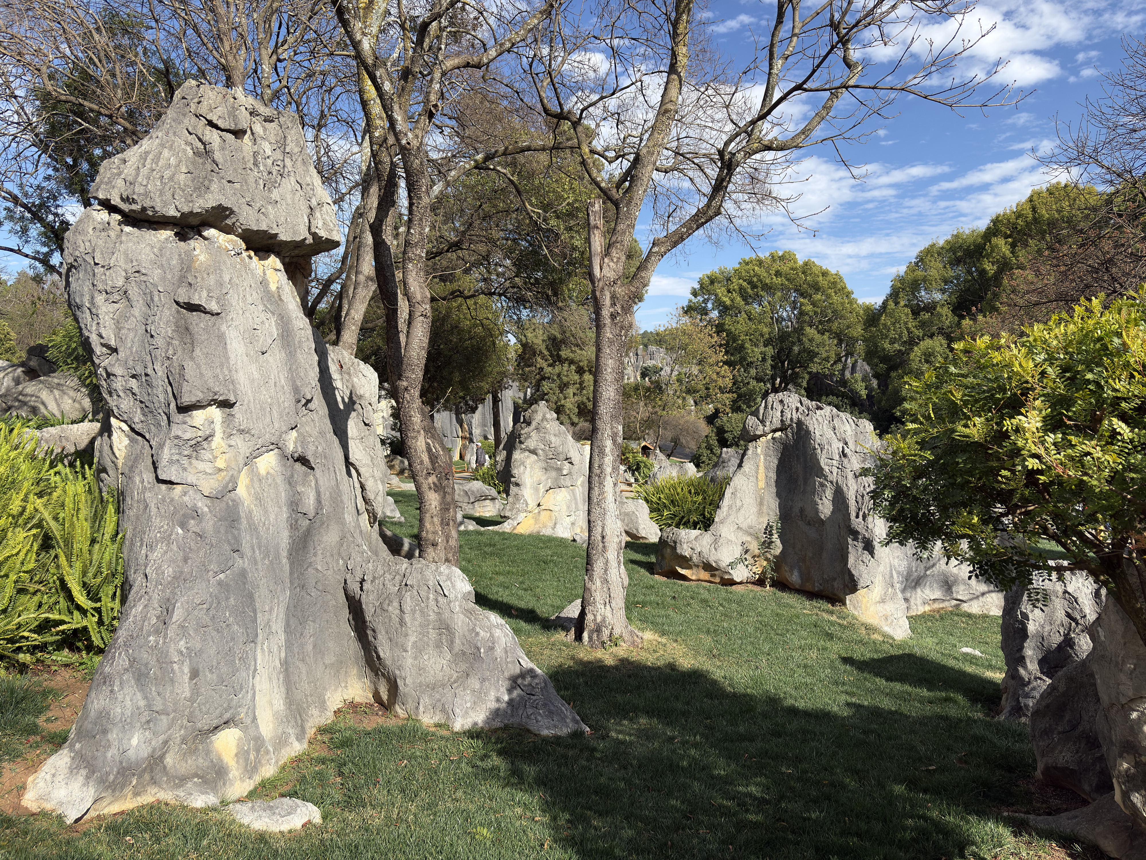 Picture China Shilin Stone Forest 2026-01 156 - Discovery Shilin Stone Forest