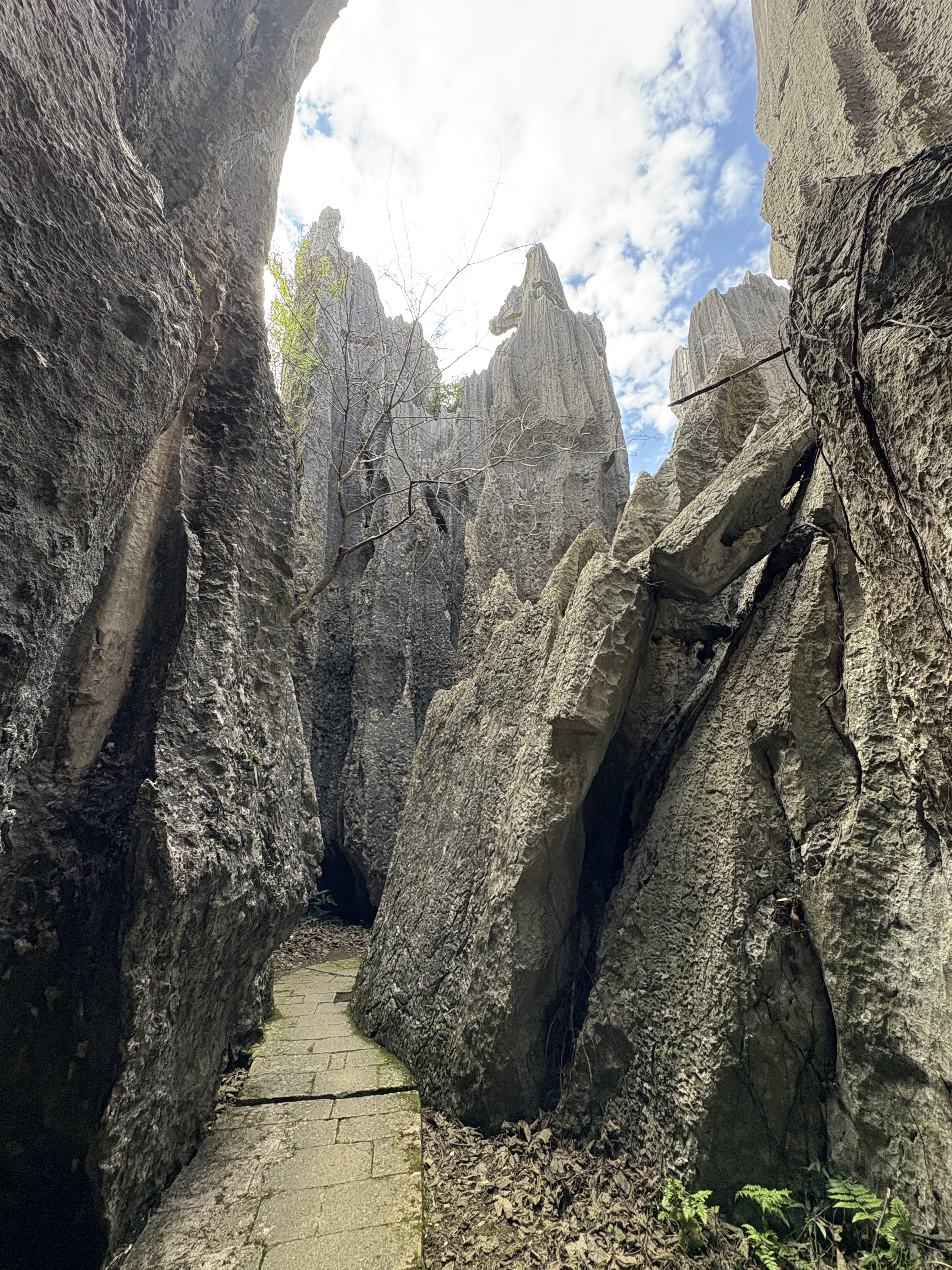 Picture China Shilin Stone Forest 2026-01 4 - Around Shilin Stone Forest