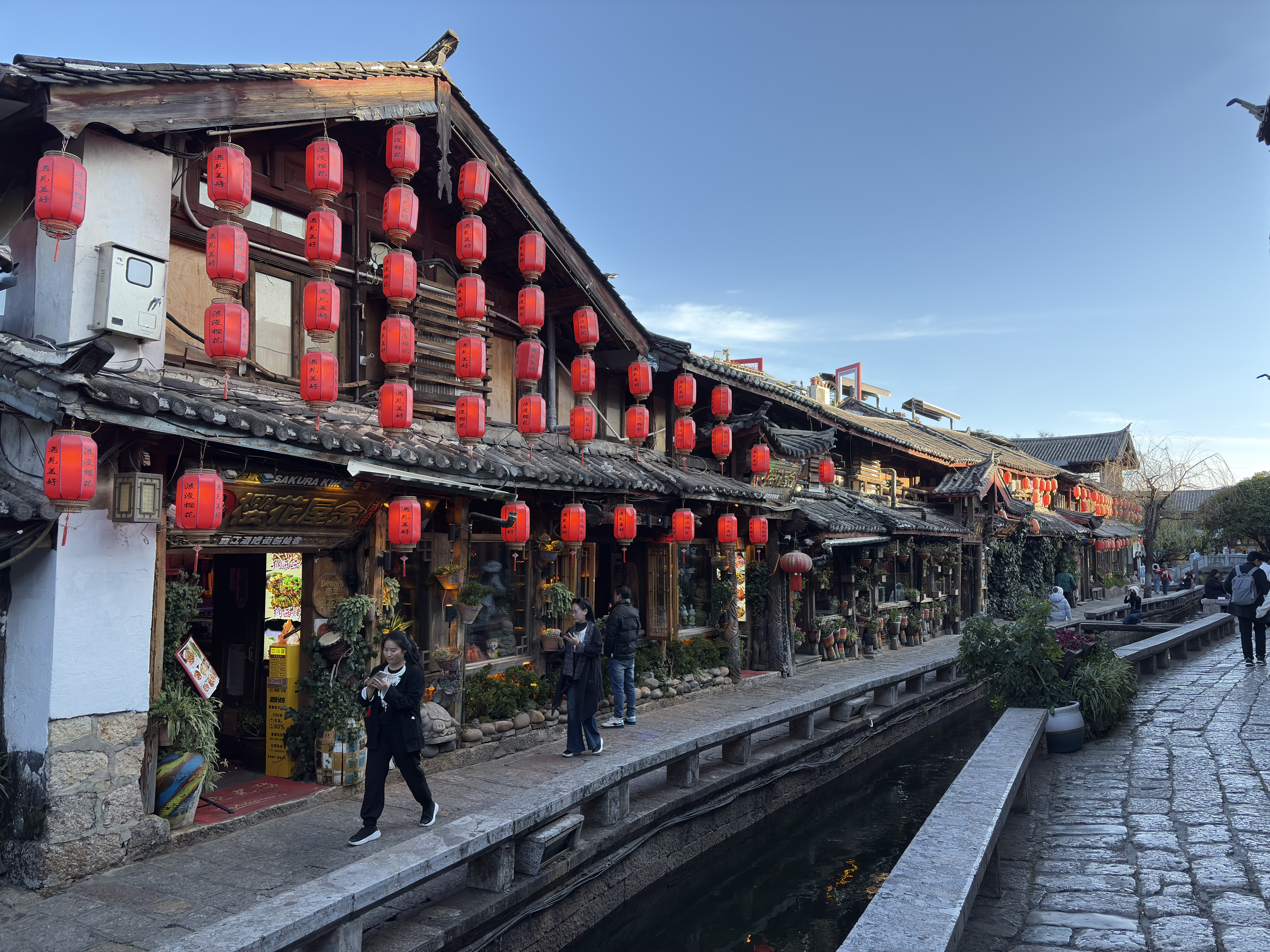 Picture China Lijiang 2026-01 528 - History Lijiang