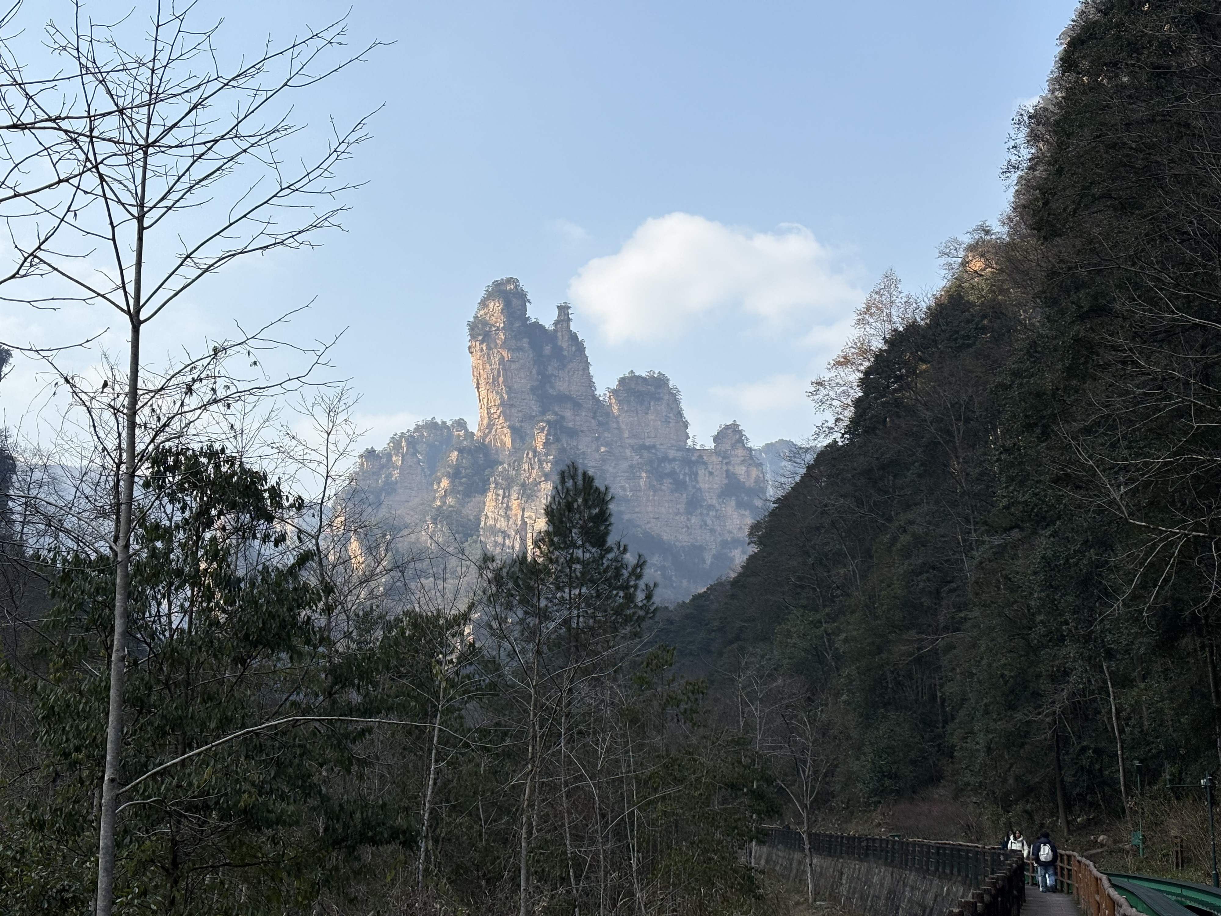 Picture China Zhangjiajie Tianzi Mountrain 2026-01 236 - Center Tianzi Mountrain