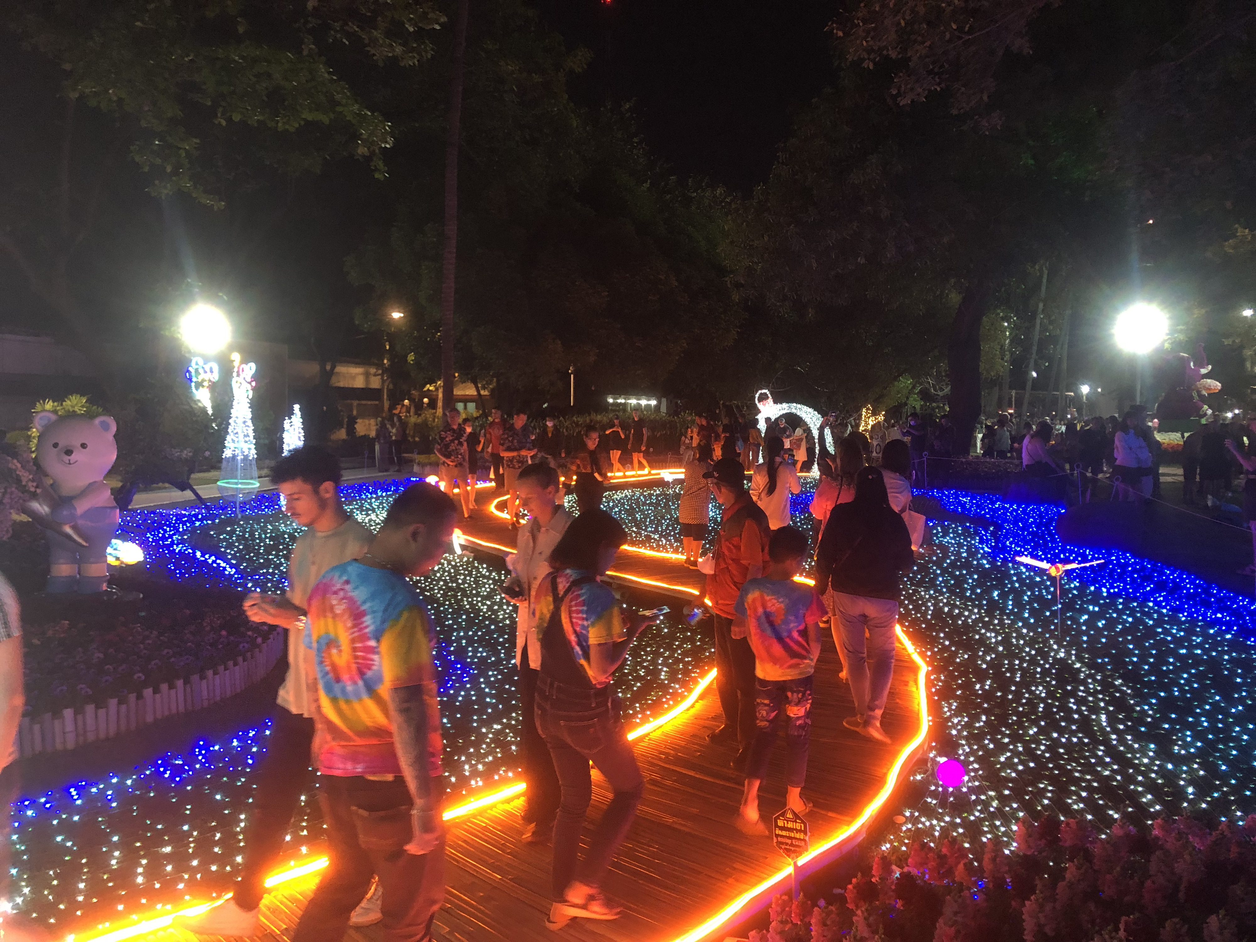 Picture Thailand Chiang Mai Nong Buak Haad Public Park 2024-01 27 - Around Nong Buak Haad Public Park